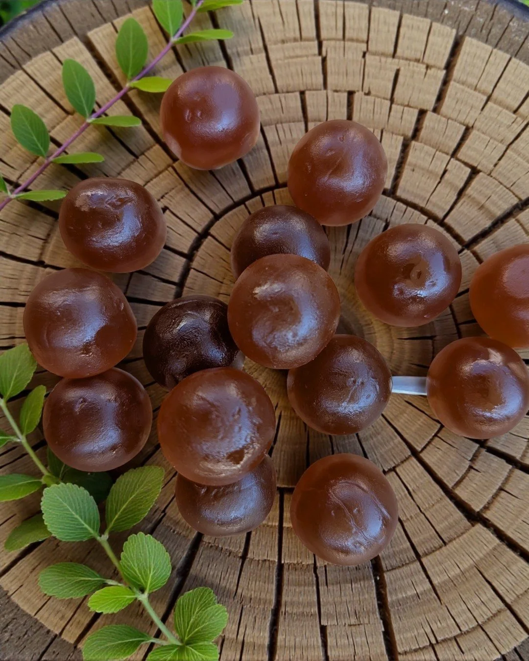 Zen, but make it gummy.

Ashwagandha gummies now available!
.
.
 #WellnessSimplified #StressLessLiveMore #PlantPoweredCalm #PlantPower #AdaptogenOnTheGo