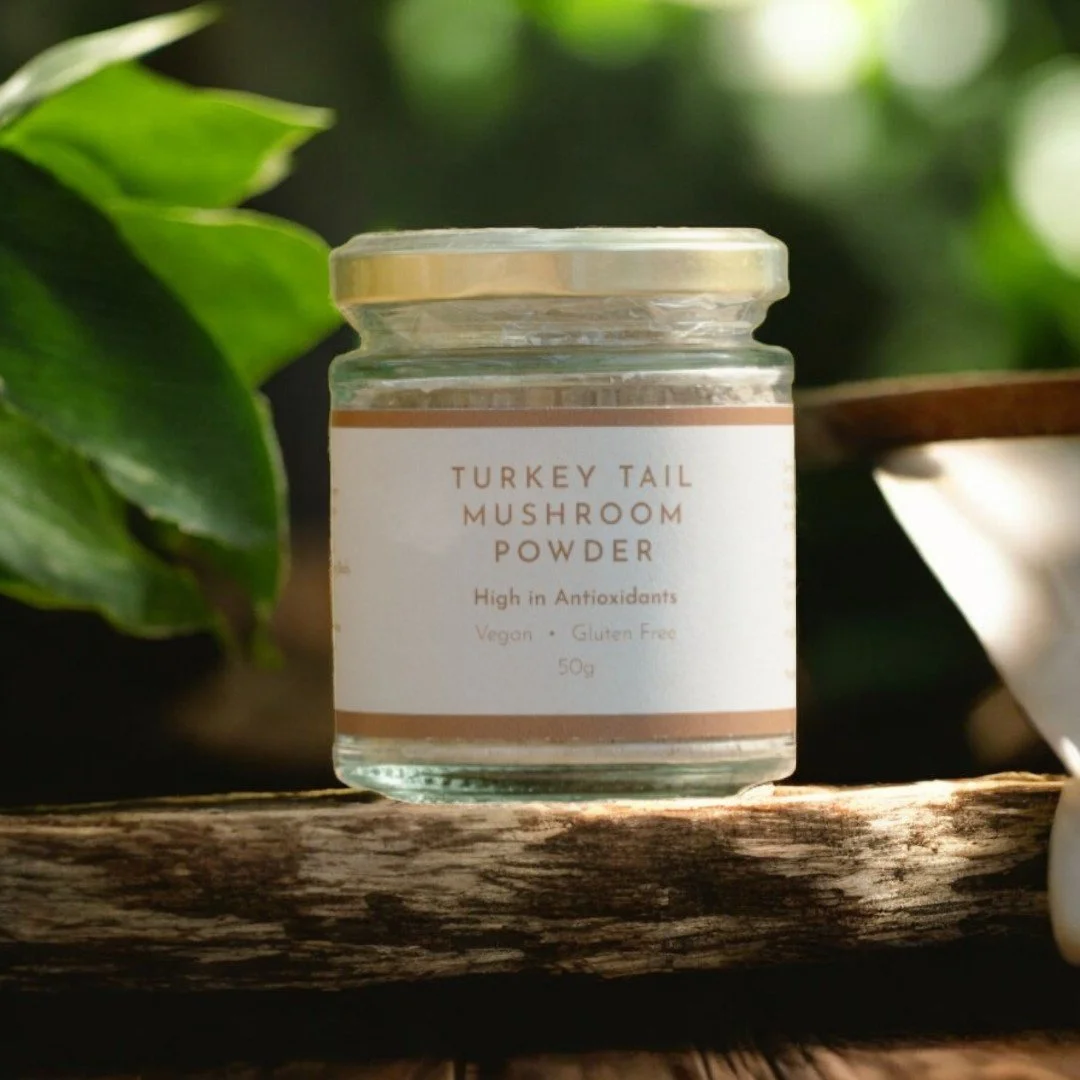 Harnessing the power of 🍄 Turkey Tail powder &mdash; a daily dose of immune-loving, gut-supporting goodness straight from nature. Ancient wisdom meets modern wellness. 

 #TurkeyTail #MushroomMagic #HolisticHealth