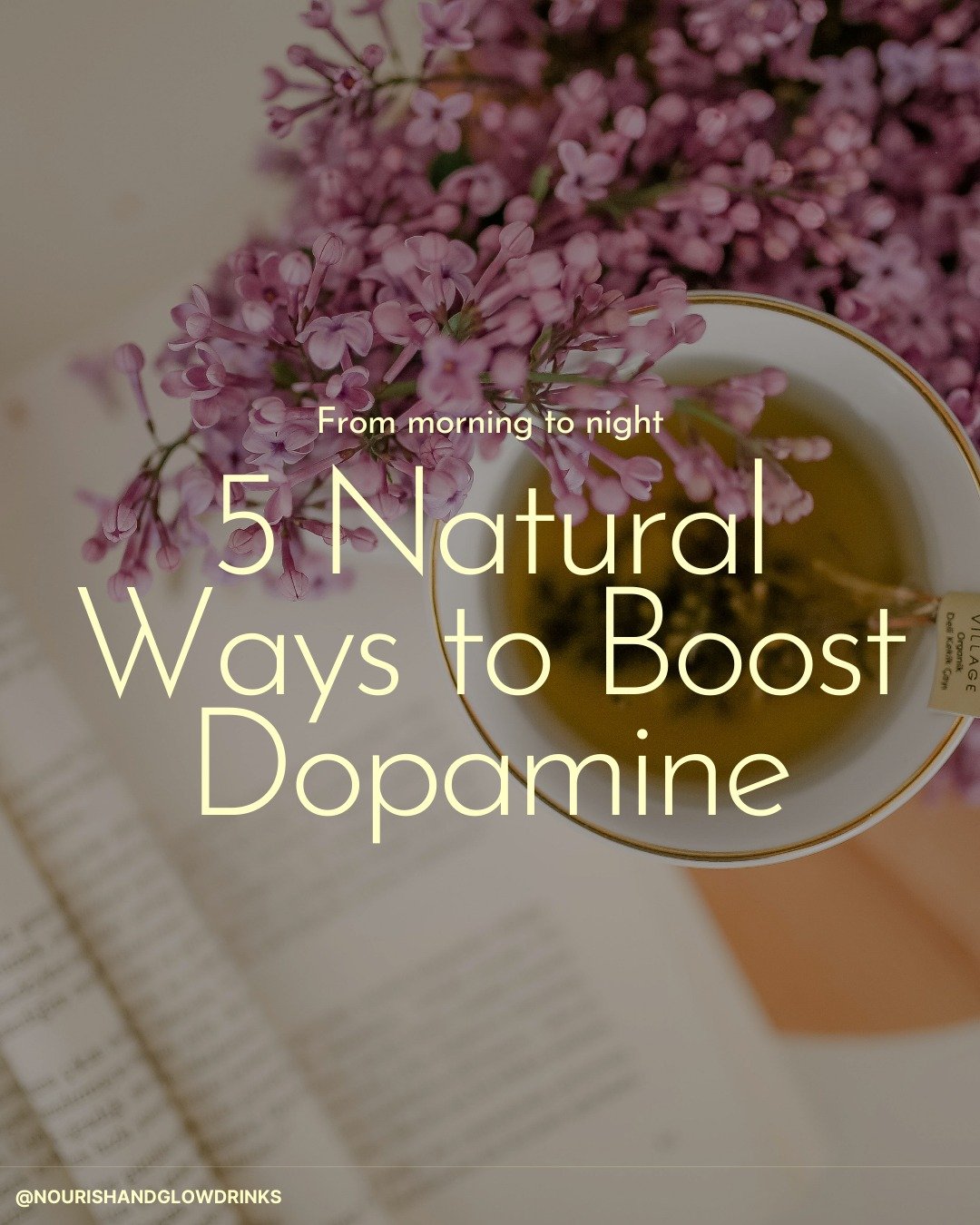 Feeling unmotivated, low on energy, or stuck in a slump?

Your brain might just need a dopamine boost.

Dopamine is often called the &ldquo;motivation chemical&rdquo; &mdash; it helps regulate mood, focus, and that feeling of drive that gets you movi