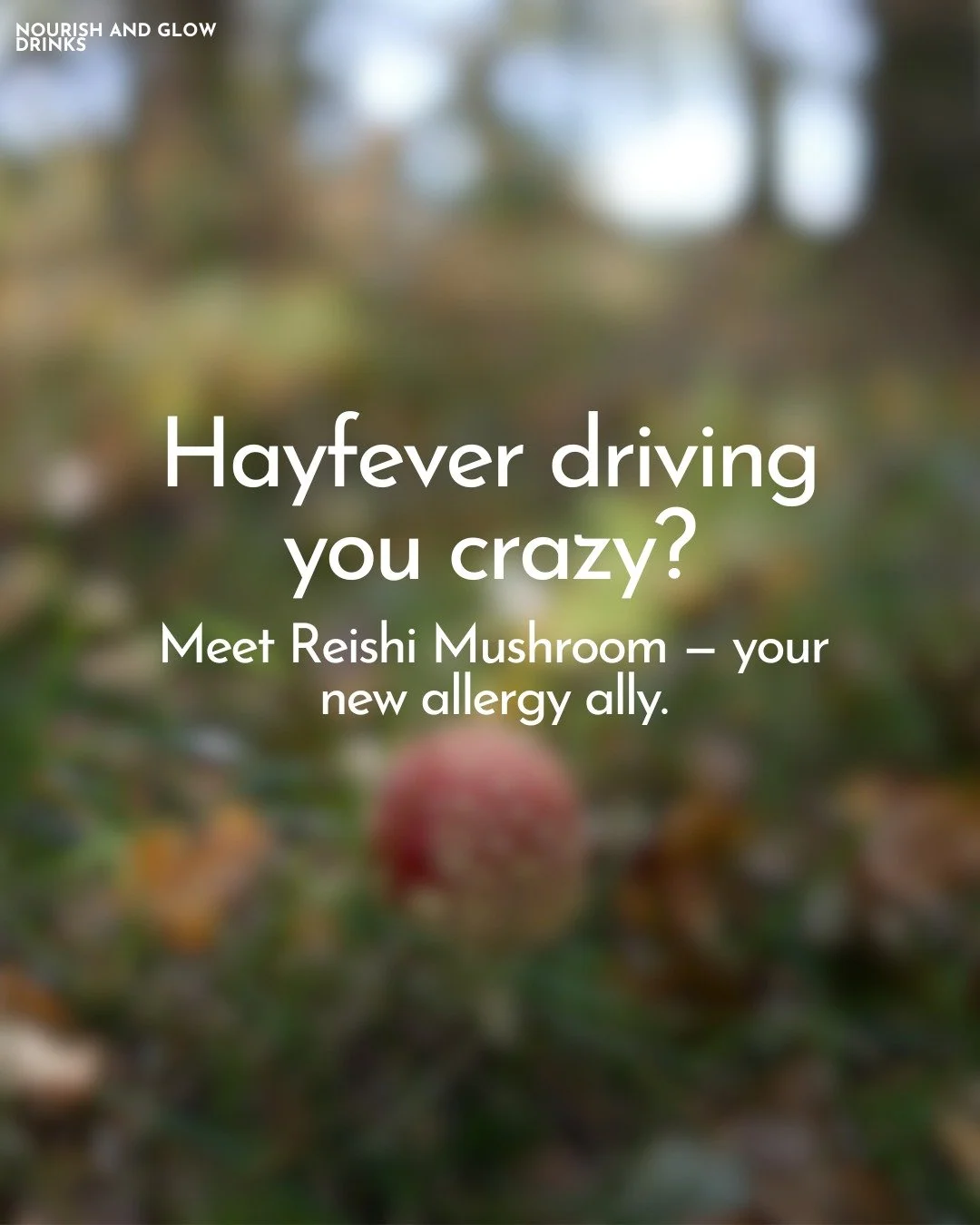 Hayfever season doesn&rsquo;t have to mean 

constant sneezing, itchy eyes, and feeling drained....

If your body is overreacting to pollen, it might be time to support your immune system differently &mdash; not by shutting it down, but by helping it