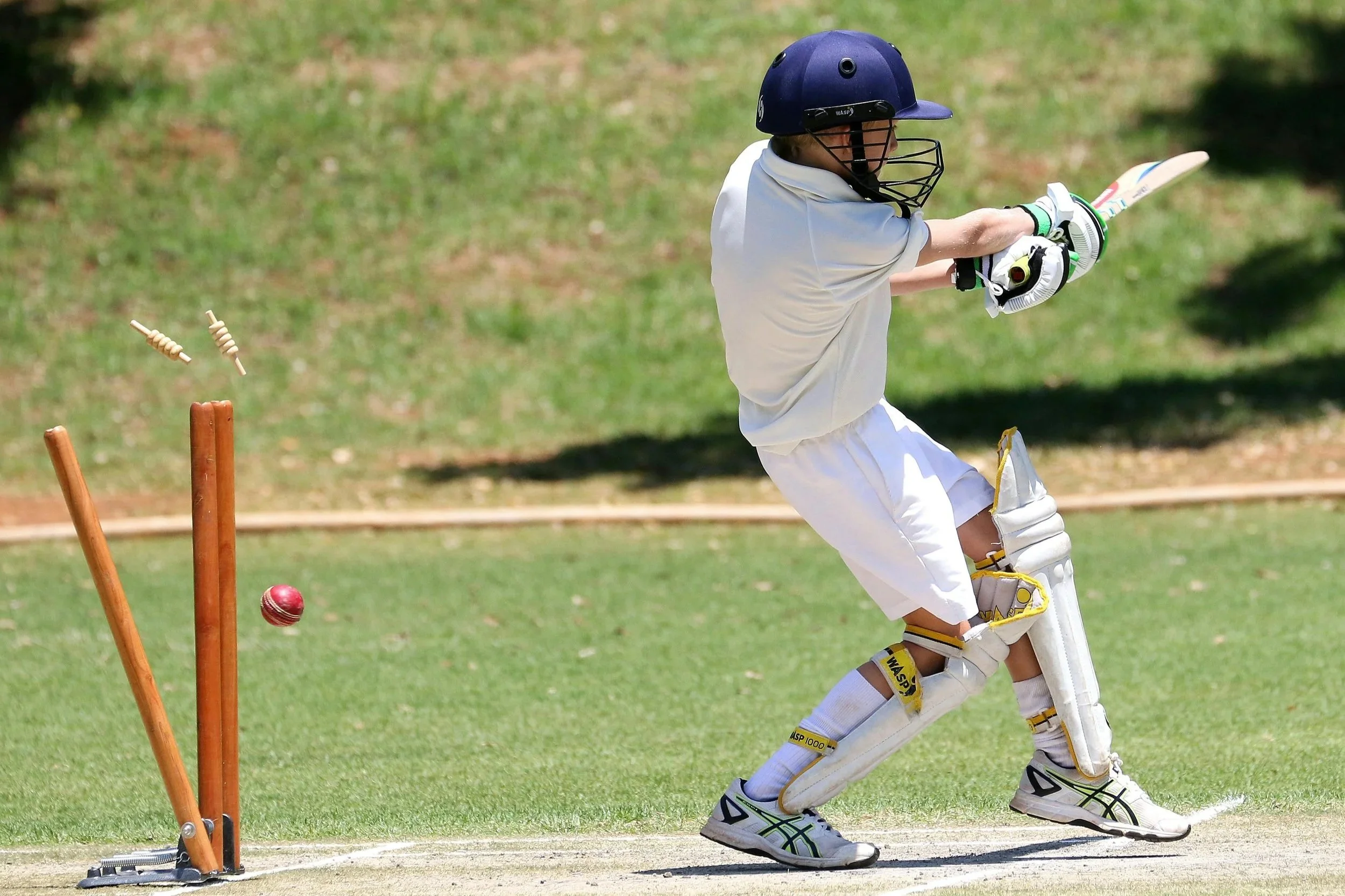 Weekly Sports Update