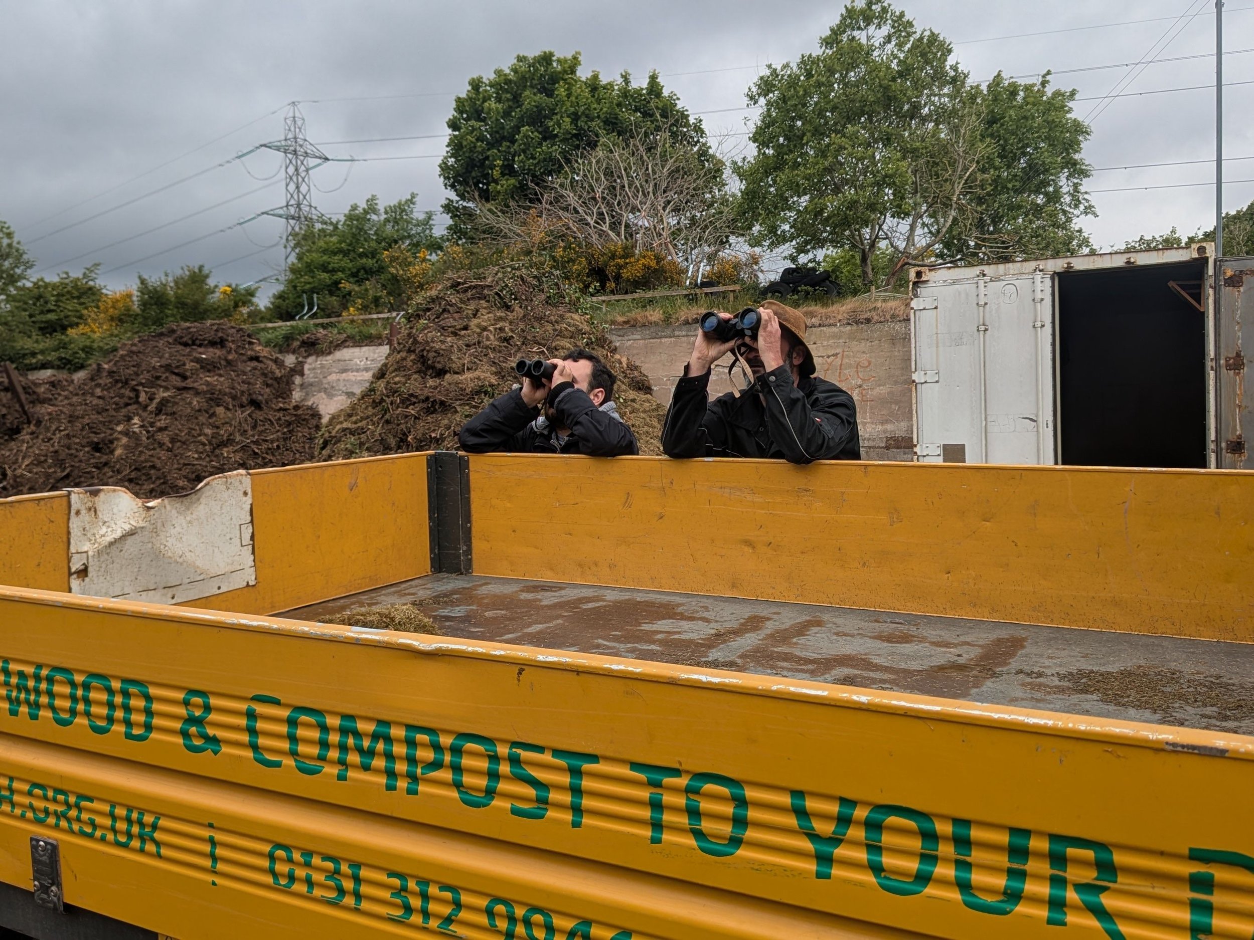 Image_Digital Images Perergrine_27-05-2025_Digital Images Perergrine_27-05-2025_113251.jpg