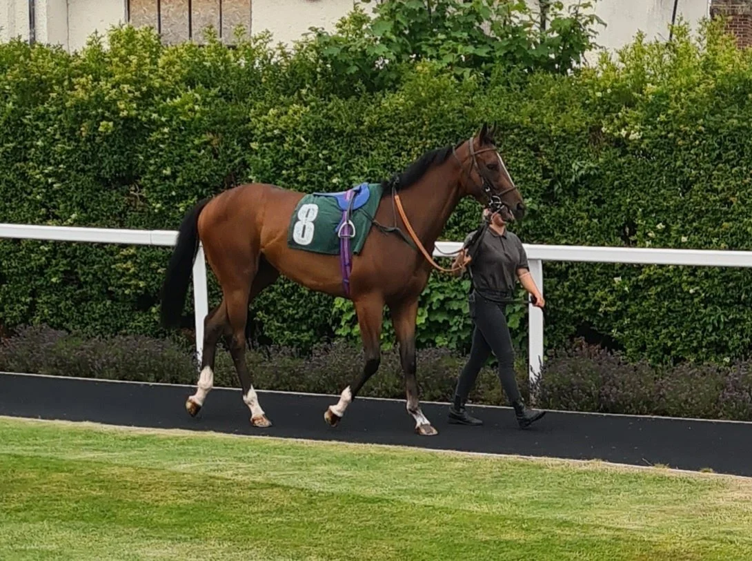 WNRH at CATTERICK.jpg