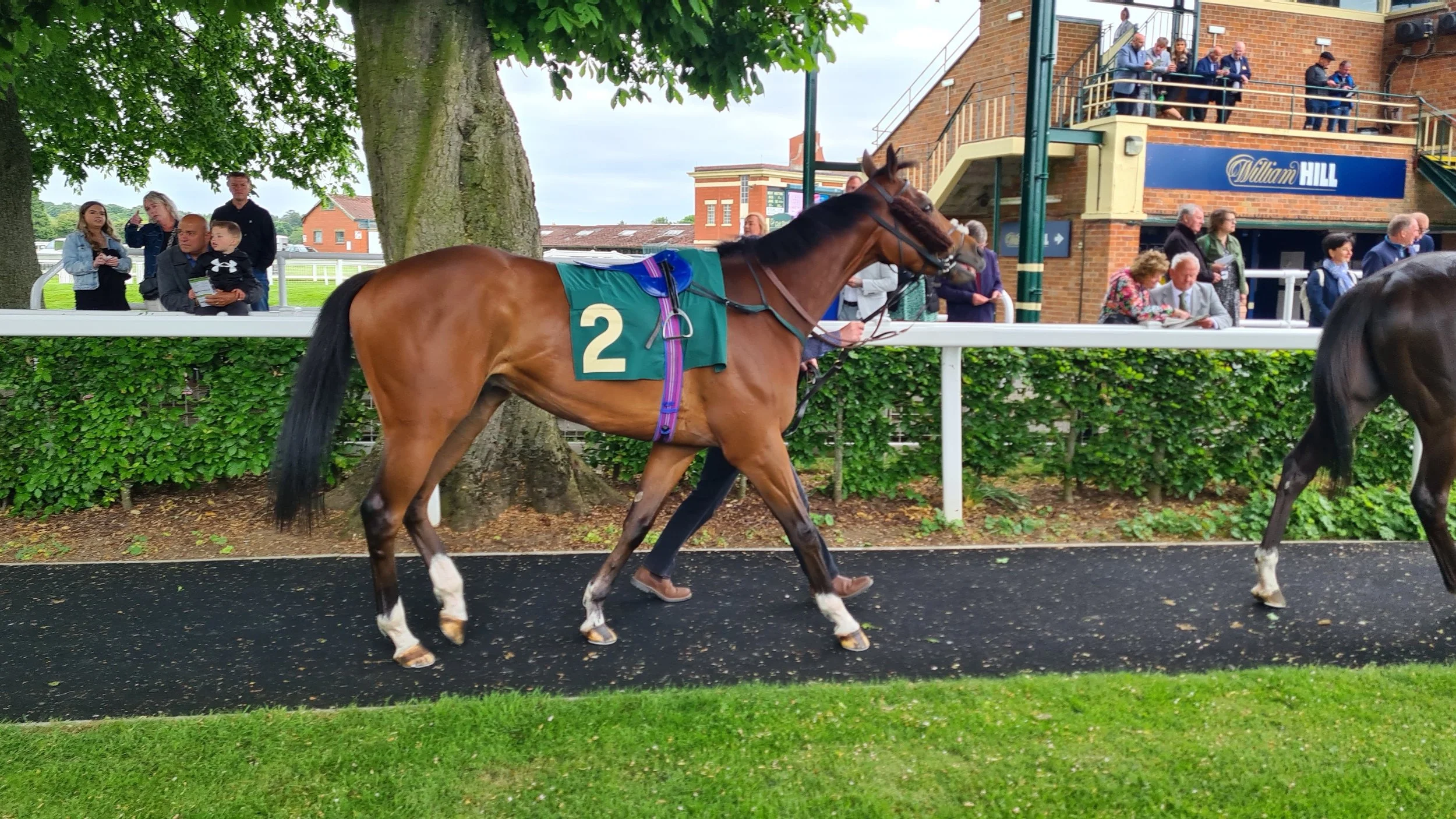 WNRH5 RIPON1JUN23.jpg