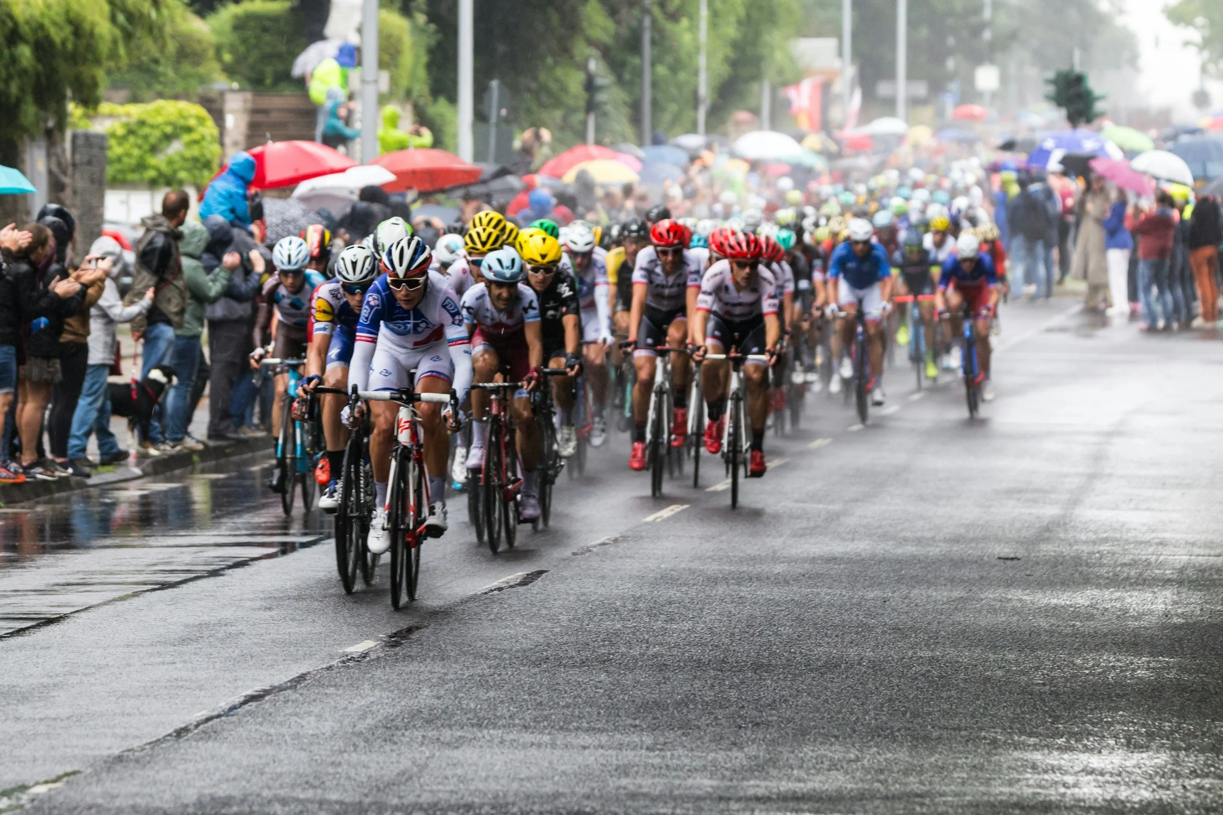 Bikers racing at Tour de France