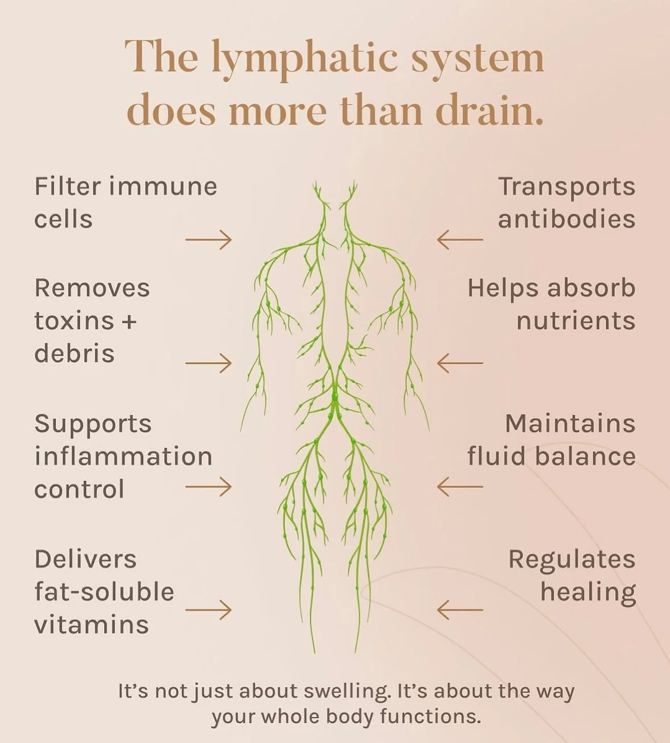 💆🏽&zwj;♂️Most people think of the lymphatic system only when there&rsquo;s swelling. But in reality, it&rsquo;s working silently every day to support your immunity, digestion, healing, and internal balance.
💆🏼&zwj;♀️It&rsquo;s not just drainage, 
