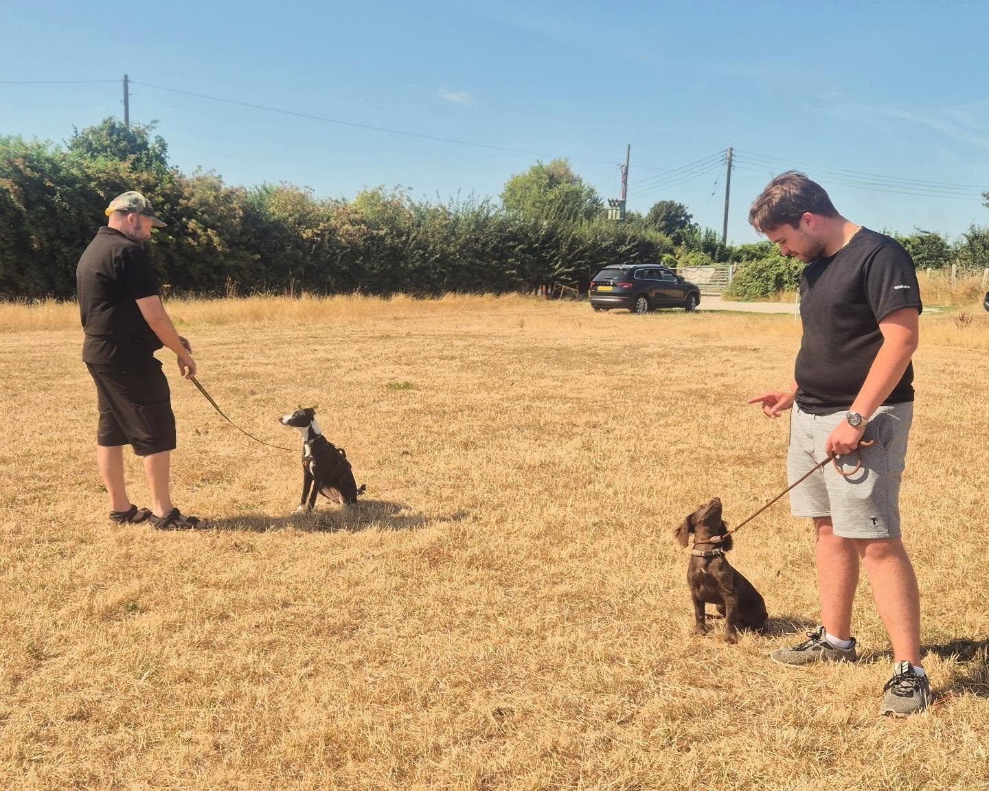 Super puppy session this morning...

Loose lead walking, recall away from a distraction and play, and leave. 

Well done! 

#puppyfoundations #puppyclassesmaidstone #puppytrainingkent #puppytrainingclass