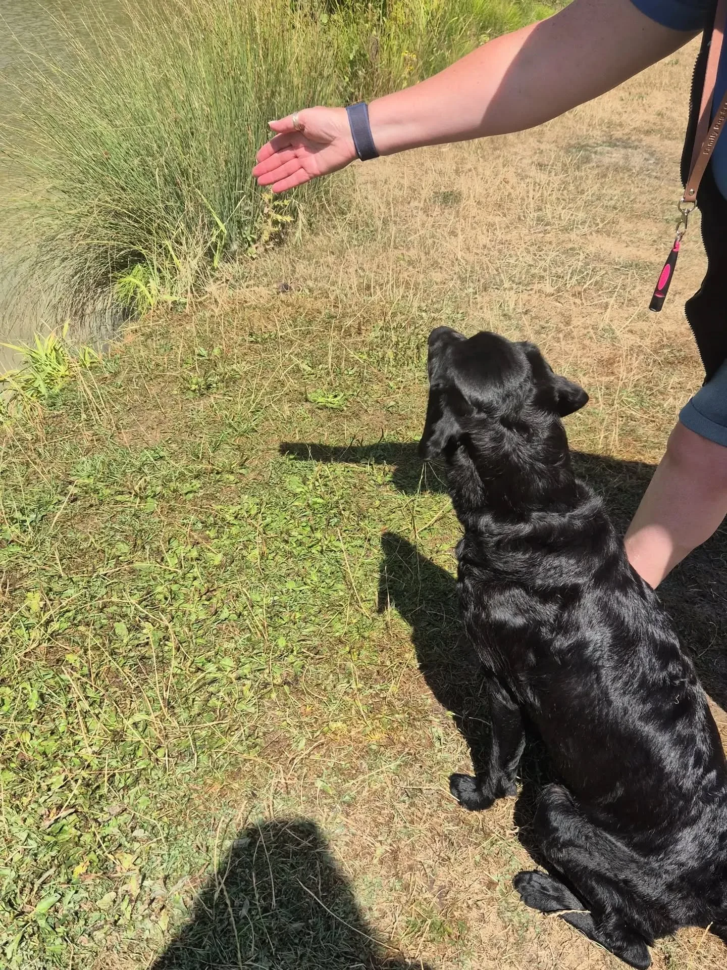 First set of pics from this mornings beginners water training workshop 

#waterretrieve #watertrainingkent #watertraining