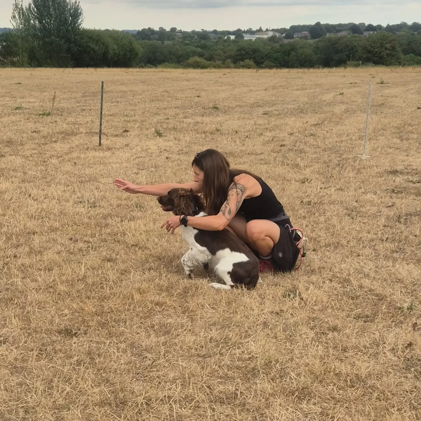 Second group of the day...

Learning all about using the wind effectively in gundog training, breed specific hunting, and extending distance on marking 

Everyone did incredibly well 

#younggundog #gundogintraining #traininggundogs #gundogtrainingke
