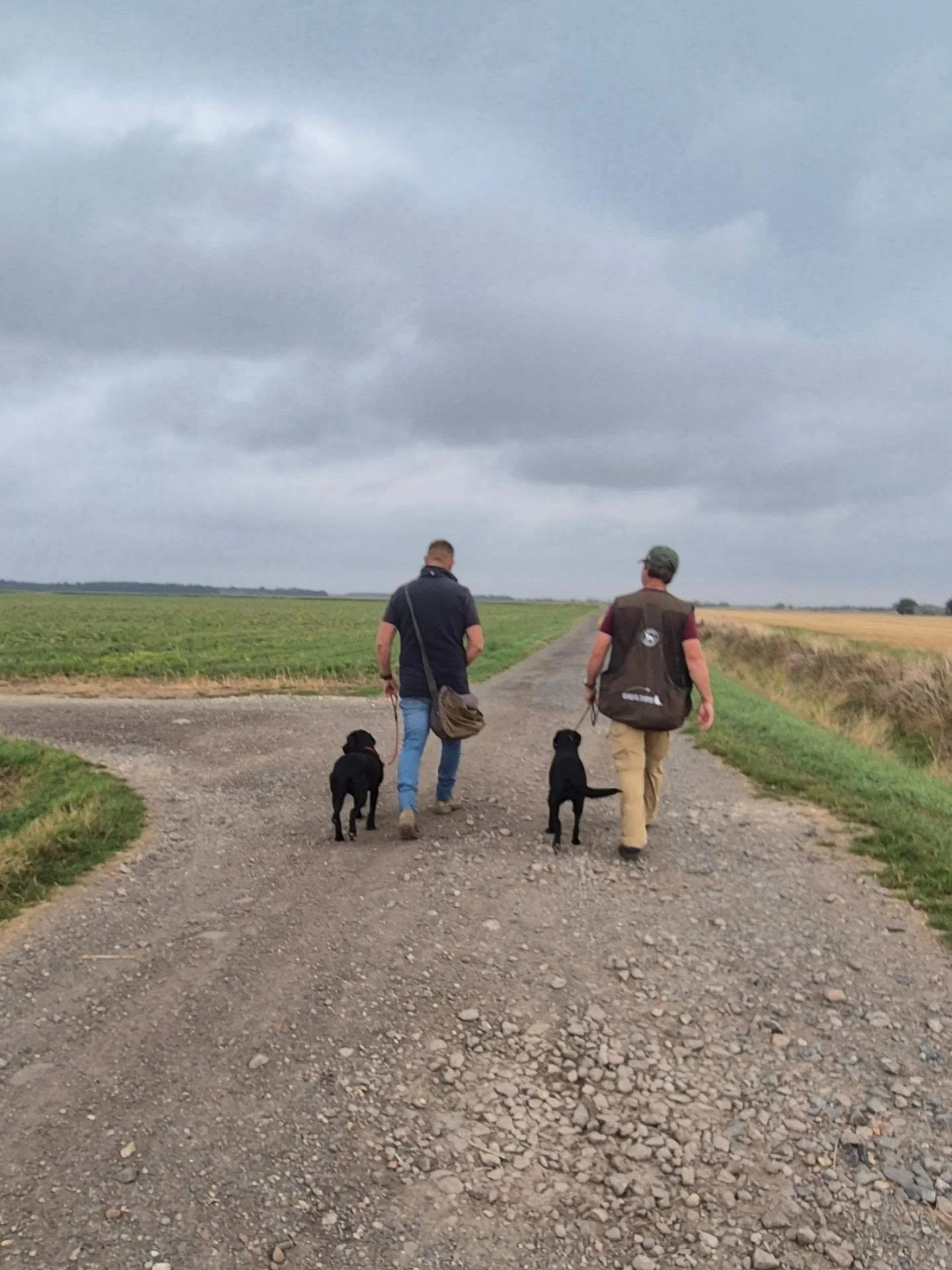 A very wet second day with @dorntanza and that was before water training lol 😆 but well worth it! 

Genies first time in sugarbeet! She completely over shot the first retrieve and struggled to find it, lost her ears for a while,  but got there event