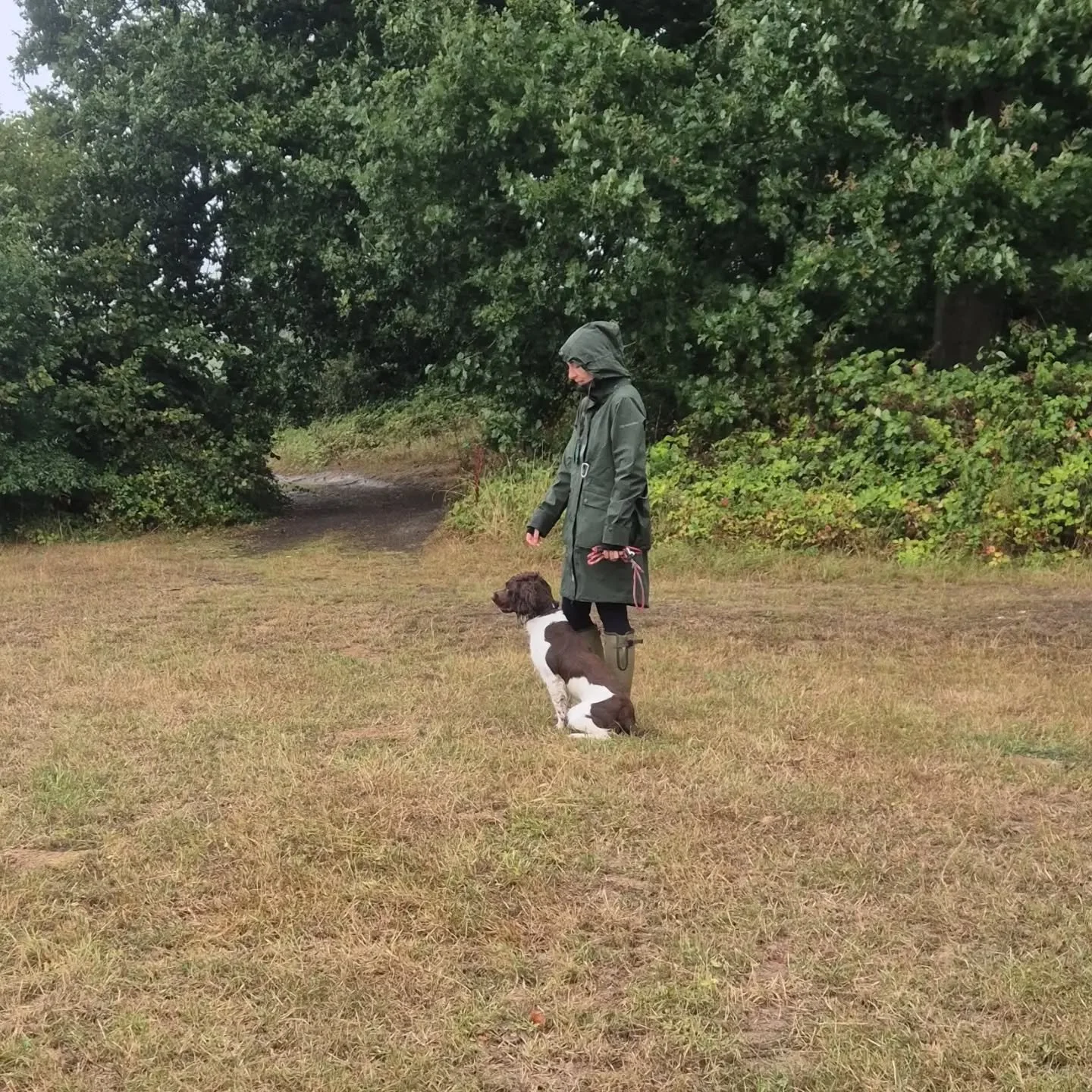 Yesterday we ran an advanced land and water training workshop for some of our clients 

The day consisted of elements required to pass the Royal KC working gundog certificate 

John who is a qualified assessor went through some of the theory and what