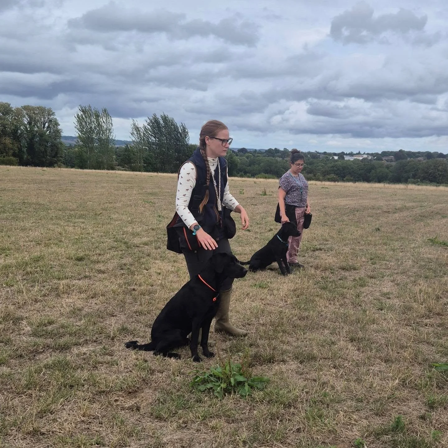 Some super lightbulb moments, new challenges, and nice progress with this group 

#gundogtrainingmaidstone
