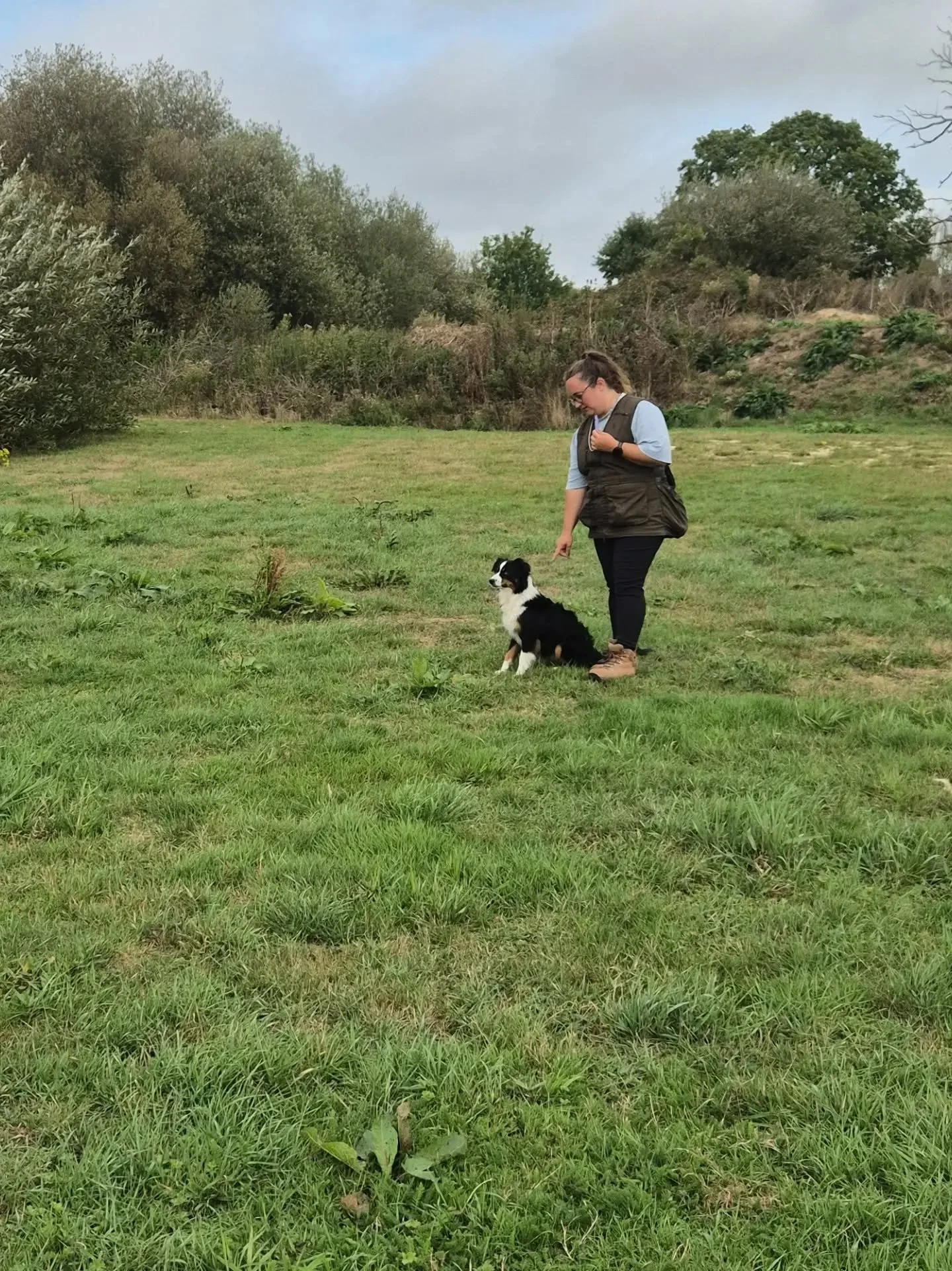 A lovely group for land and water training at @gardners_farm_gundog_training today 

We made use of the natural barriers, hunt areas, water whilst working on steadiness and honouring each other's retrieves 

#gundogskillstraining #traininggundogs