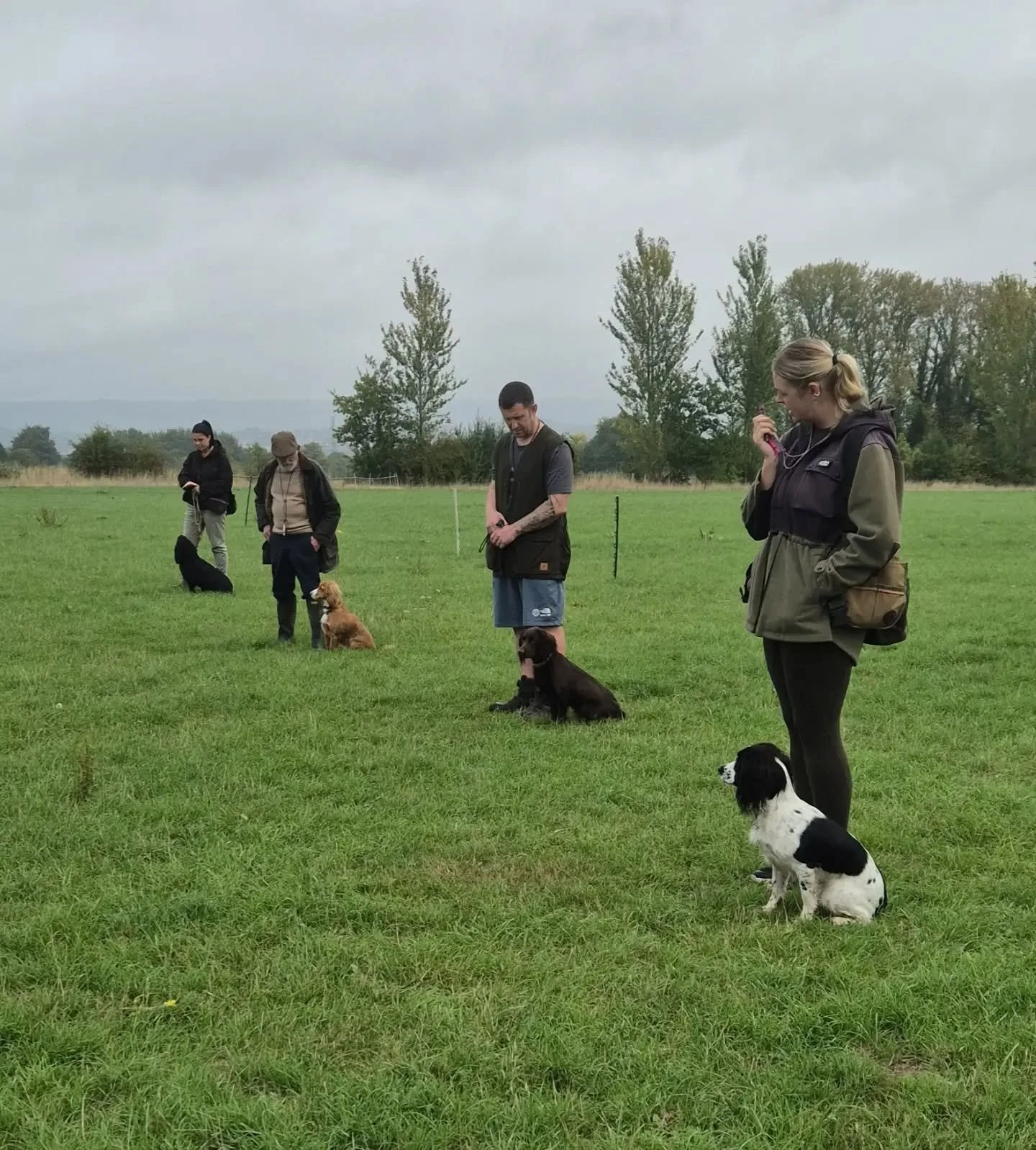 Super beginner spaniel class this morning 

Marks and memory retrieves in cover, stop to movement, hunting and steadiness 

#spanieltraining #spanieltrainingofinstagram