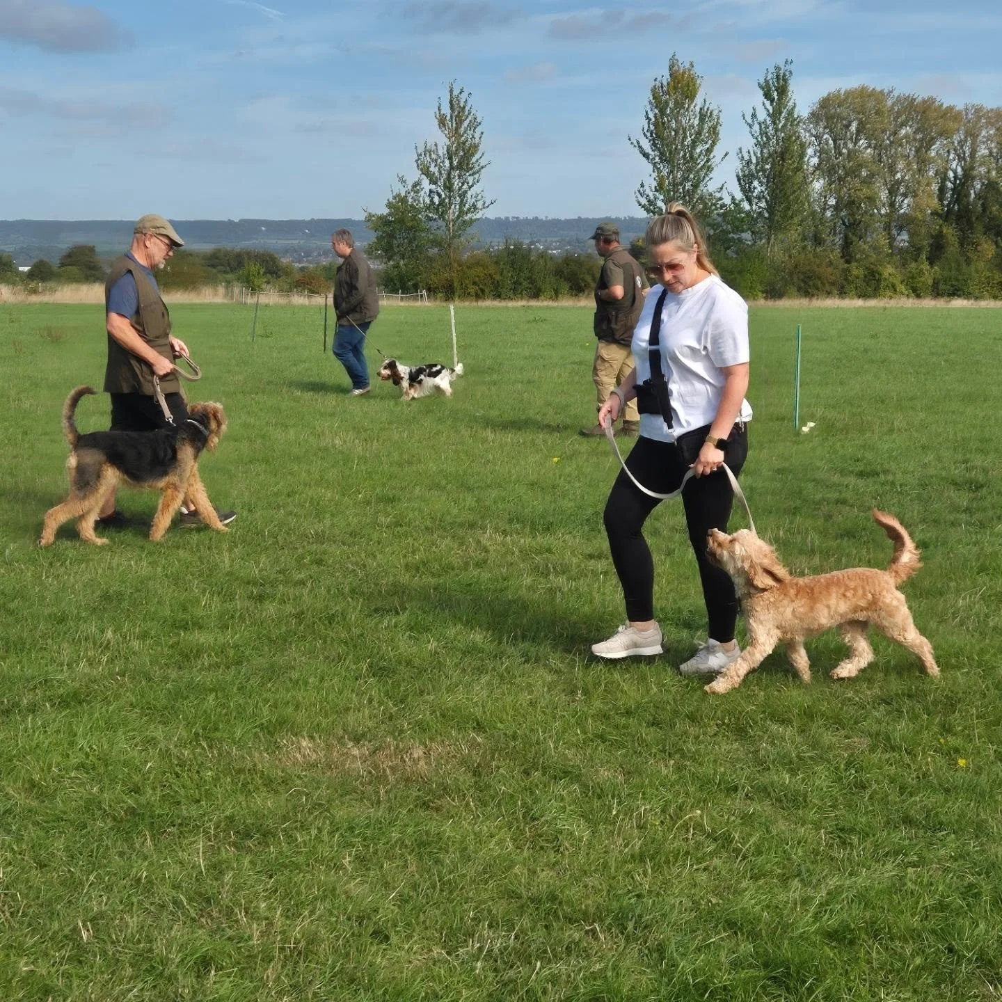 Dog school this morning...

Putting these adolescent dogs and their owners through their paces with loose lead walking, teaching what neutrality on lead means, polite meet but don't greet exercises and calling away from directions 

#dogschool #dogsc