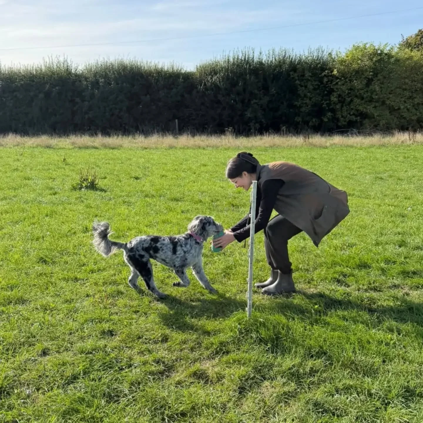 Handling skills with these ladies and their dogs this morning 

#gundogskillstraining #gundogskills