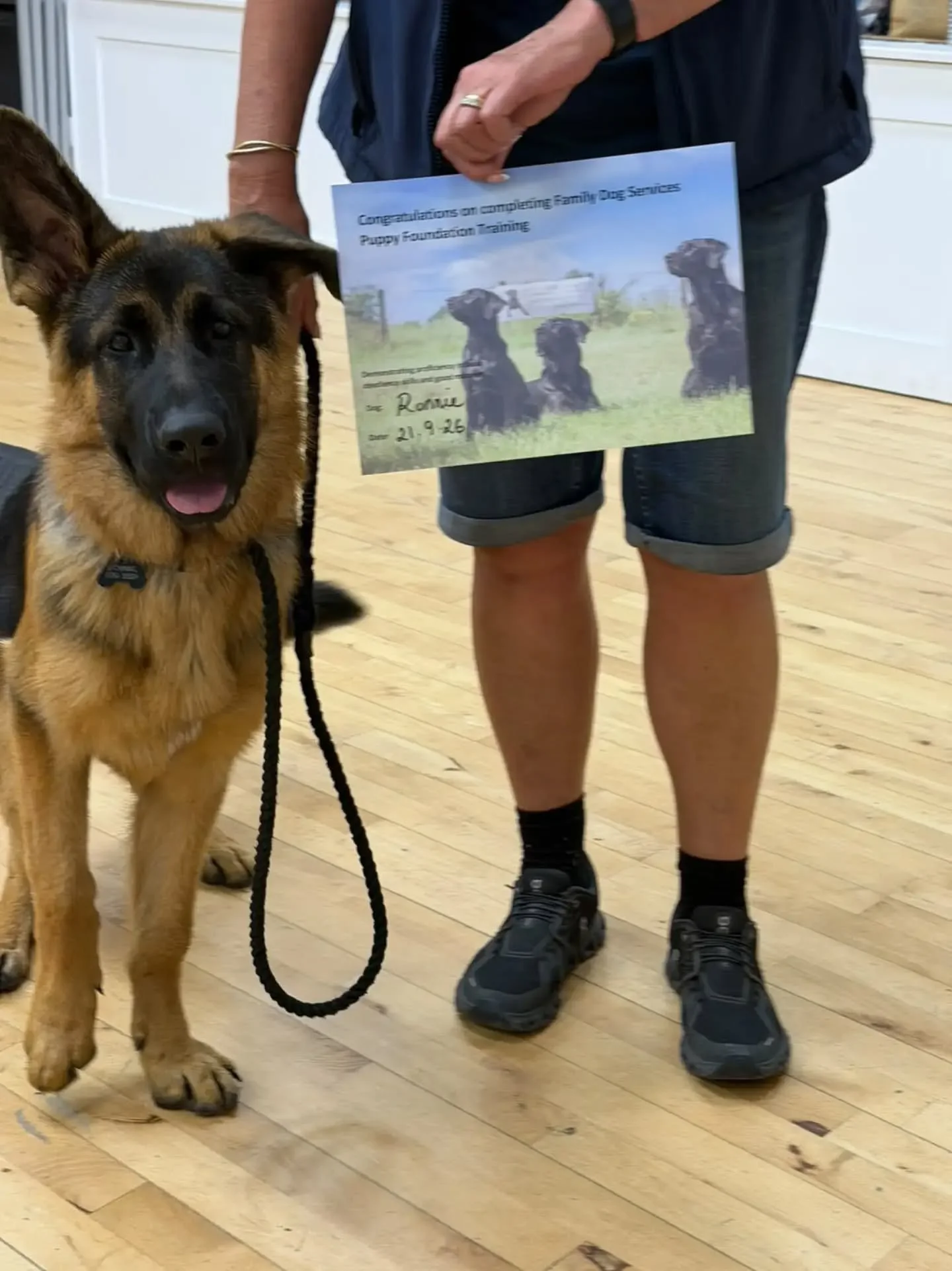And that's a wrap! Another puppy foundation course complete! But, for the puppies and their owners this is just the beginning of their journeys together. 

Our puppy foundation course is just that, laying the foundations for the journey of training t