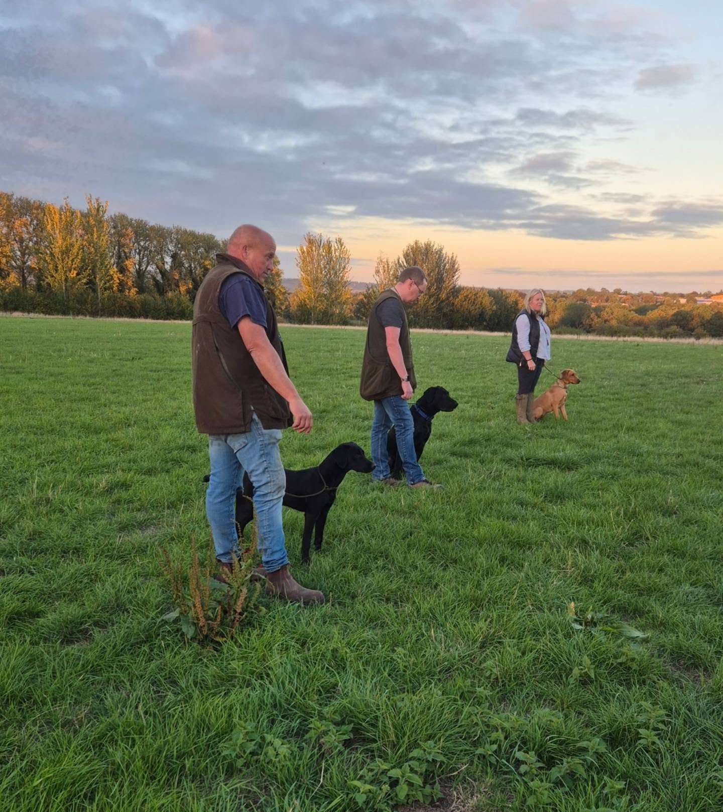 Very excited to see these young gundog pups progress over the coming months 🙌 

Great job everyone 

#younggundog
#youngretriever
#younglabrador