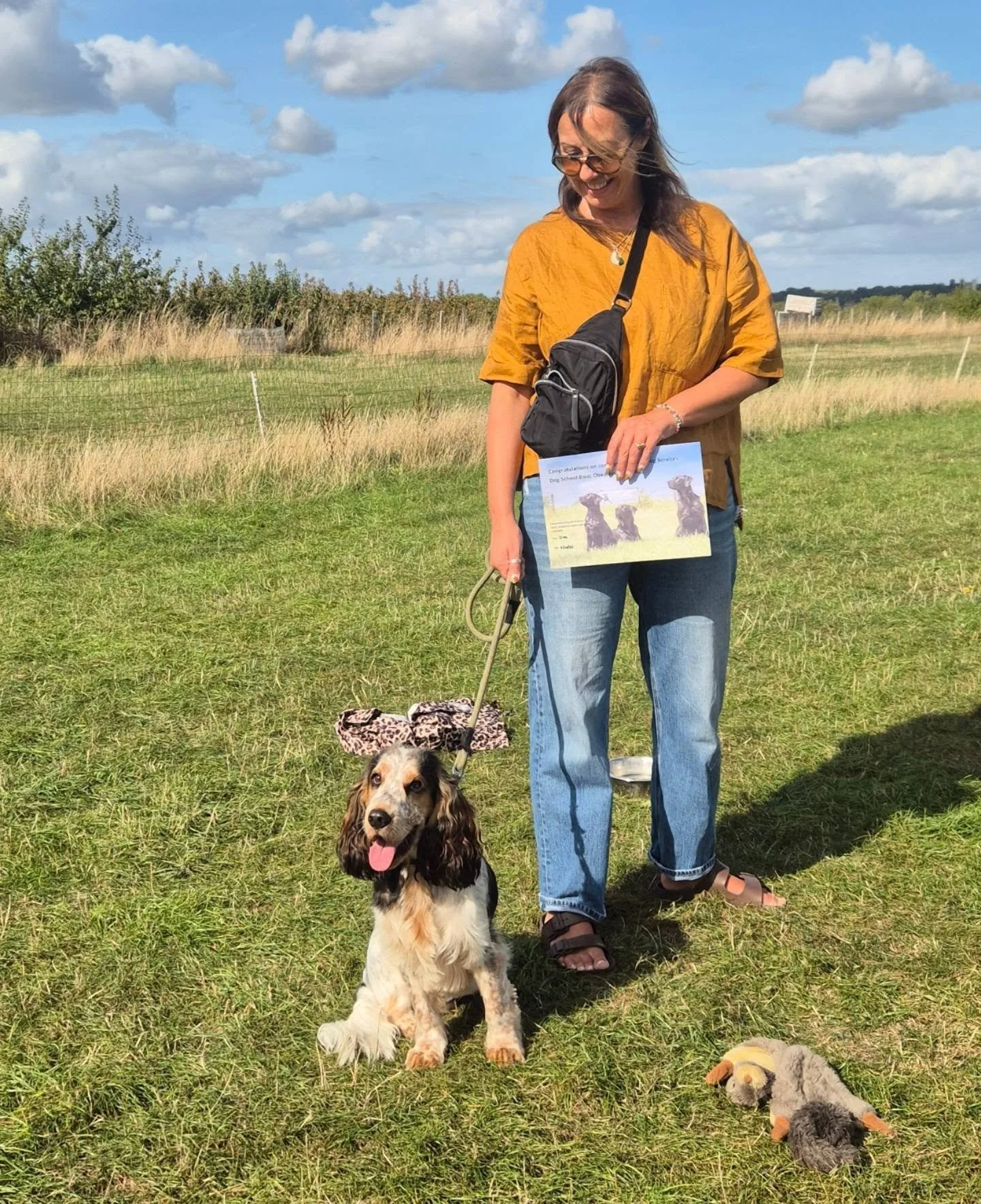 6 week dog school course completed! For these young adolescent dogs it's just the beginning...

Your young dog is growing up, and it's completely normal for training to feel like riding a rollercoaster, full of ups and downs. You may feel like your d