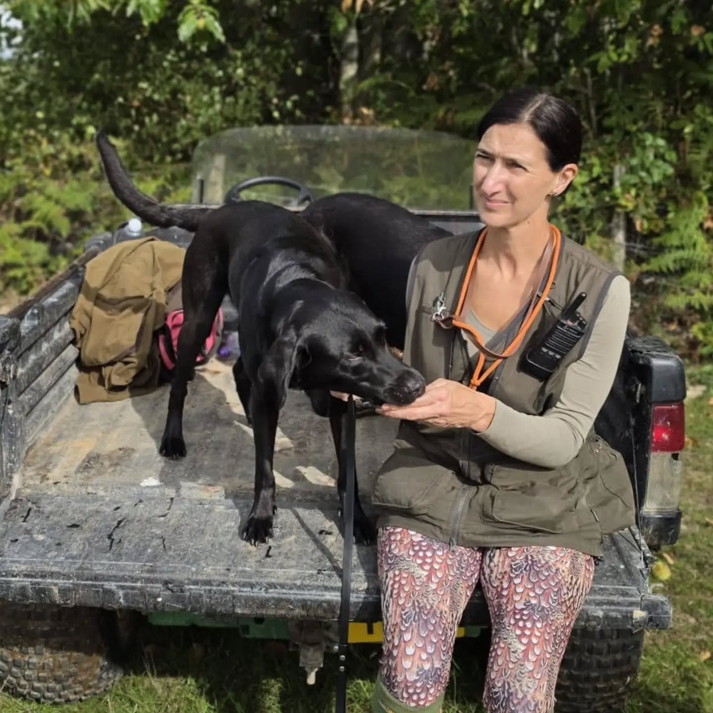 Big shout out to Ivy and Jo! Yesterday Ivy had her first official day out in the field! We hear she smashed it! 

@jocee1969 

#workingdogsofinstagram #workinggundogs