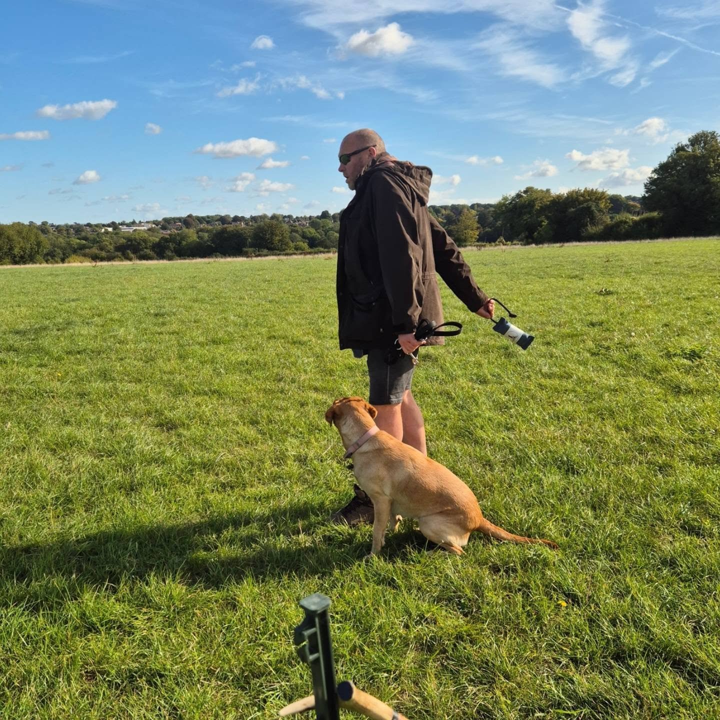 Second foundation class for this lovely group this morning 

Loose lead walking, recall, steadiness and self control, and an introduction to memory retrieves 

#gundogfoundations