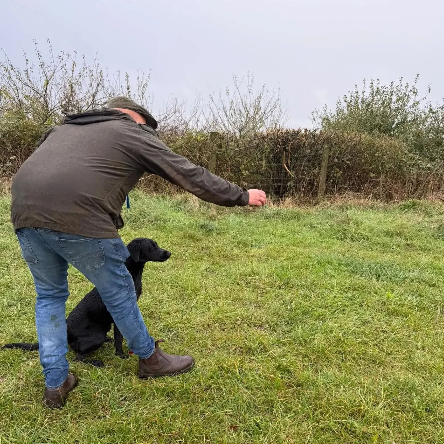 Wet but wonderful afternoon with these fabulous young gundogs in training 

Two Flatcoated Retrievers and four Labrador Retrievers in this foundation group 

#gundogfoundations
#gundogtrainingkent #gundogtrainingmaidstone
#gundogbasics
