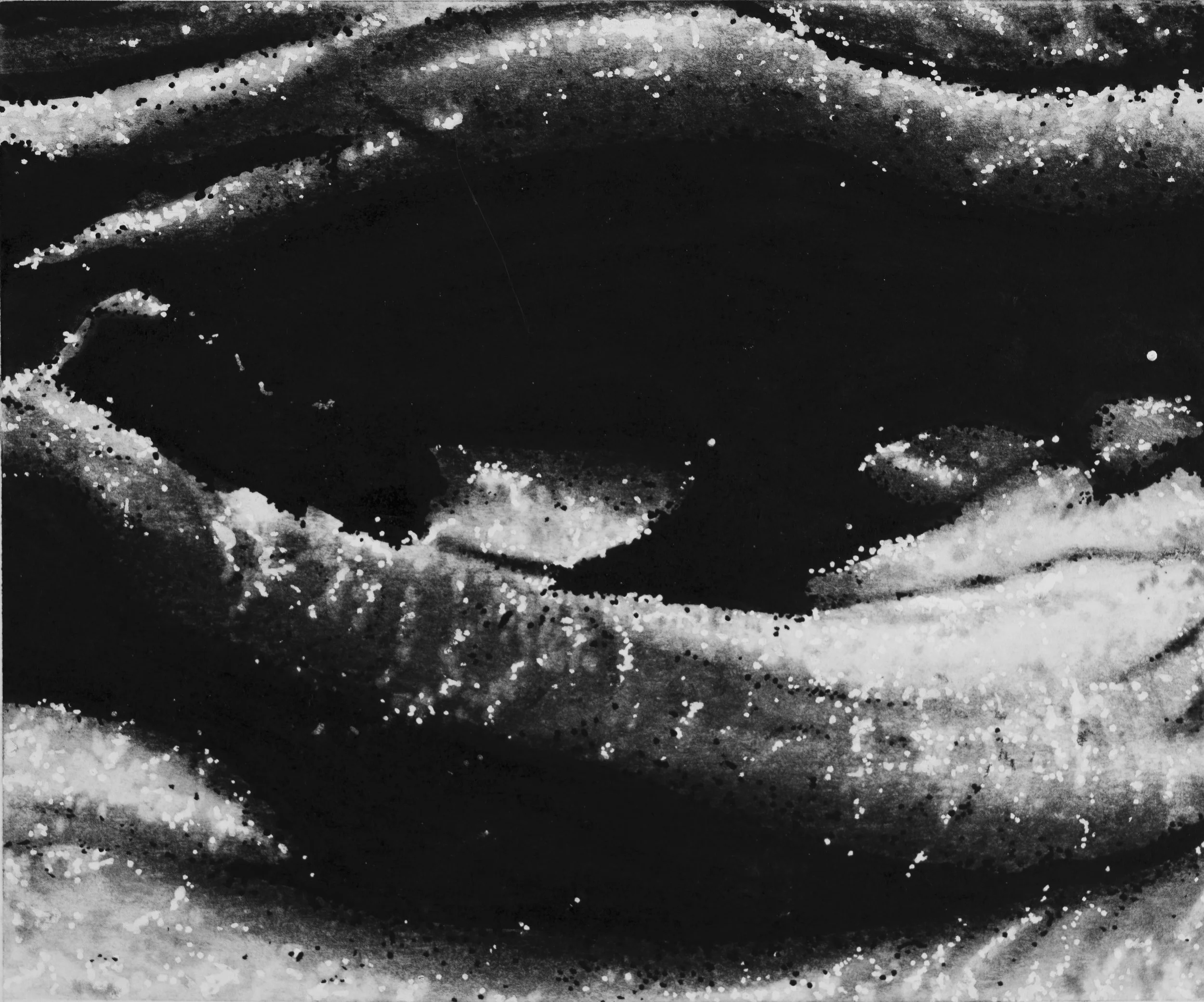 Anatomy For Consumption: In conversation with lily Jones