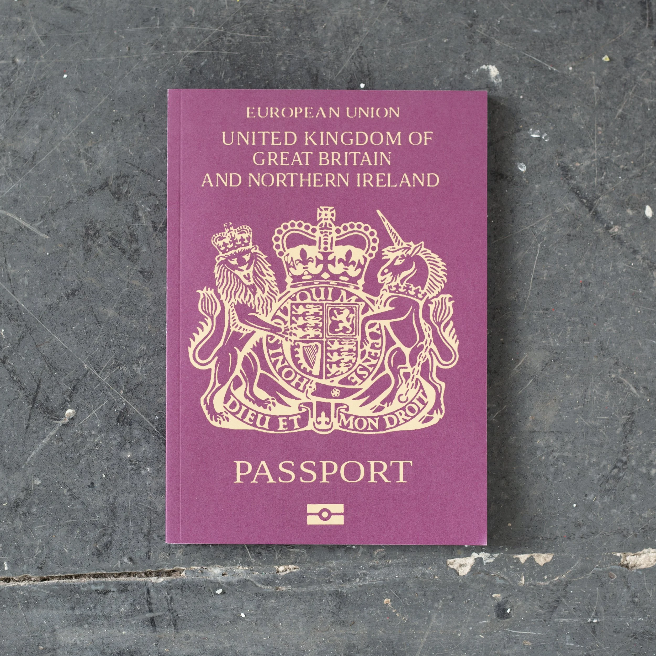 Fluent in Nothing-15.jpg