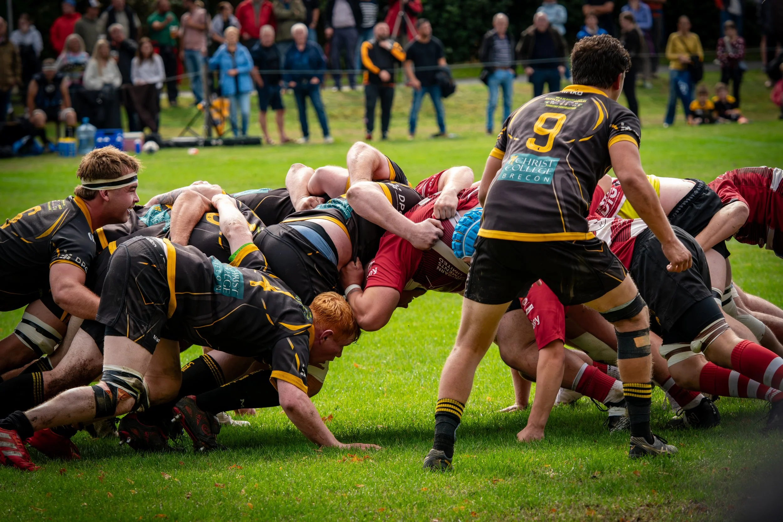 P1041201.jpg
