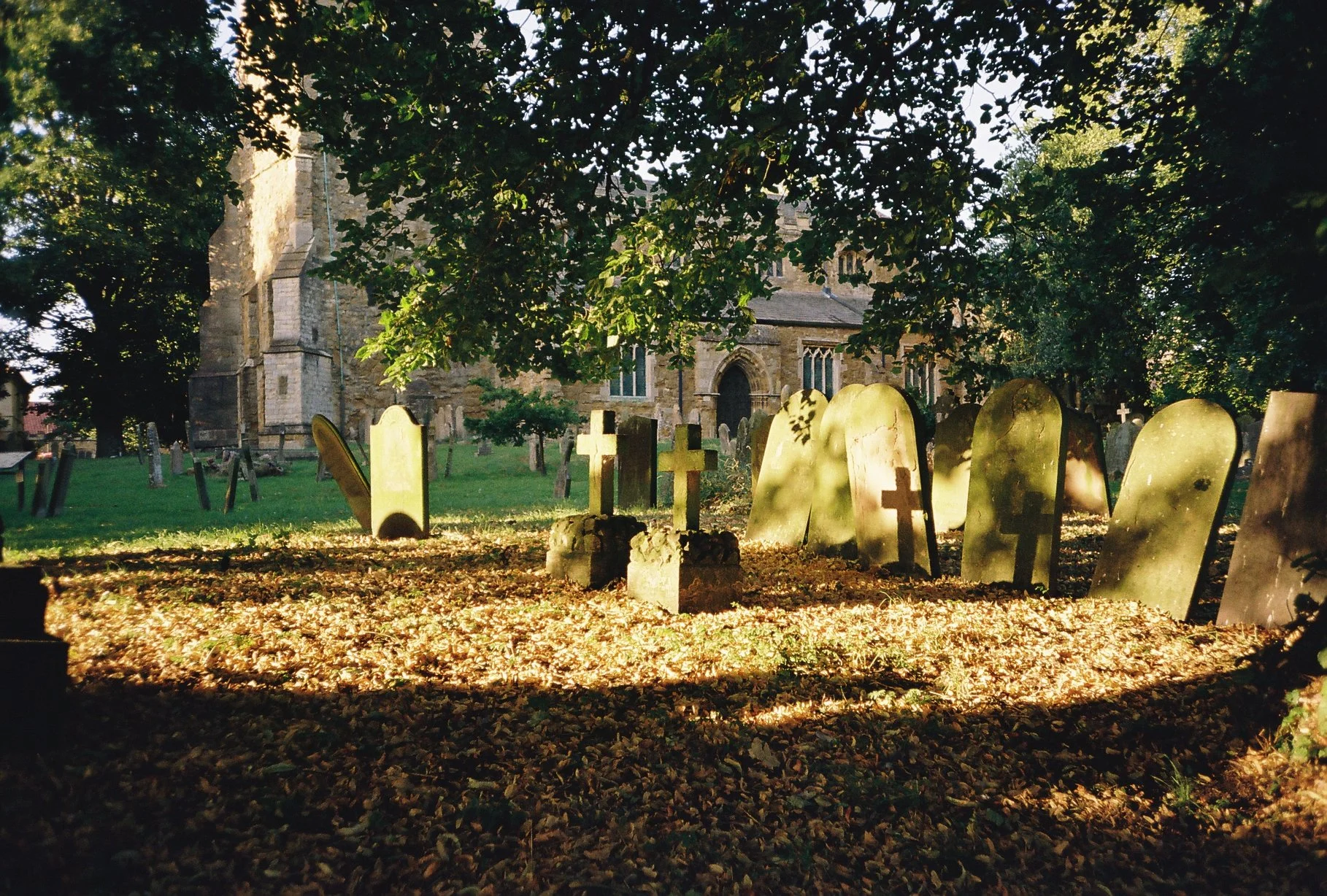 R1-01344-001A.JPG
