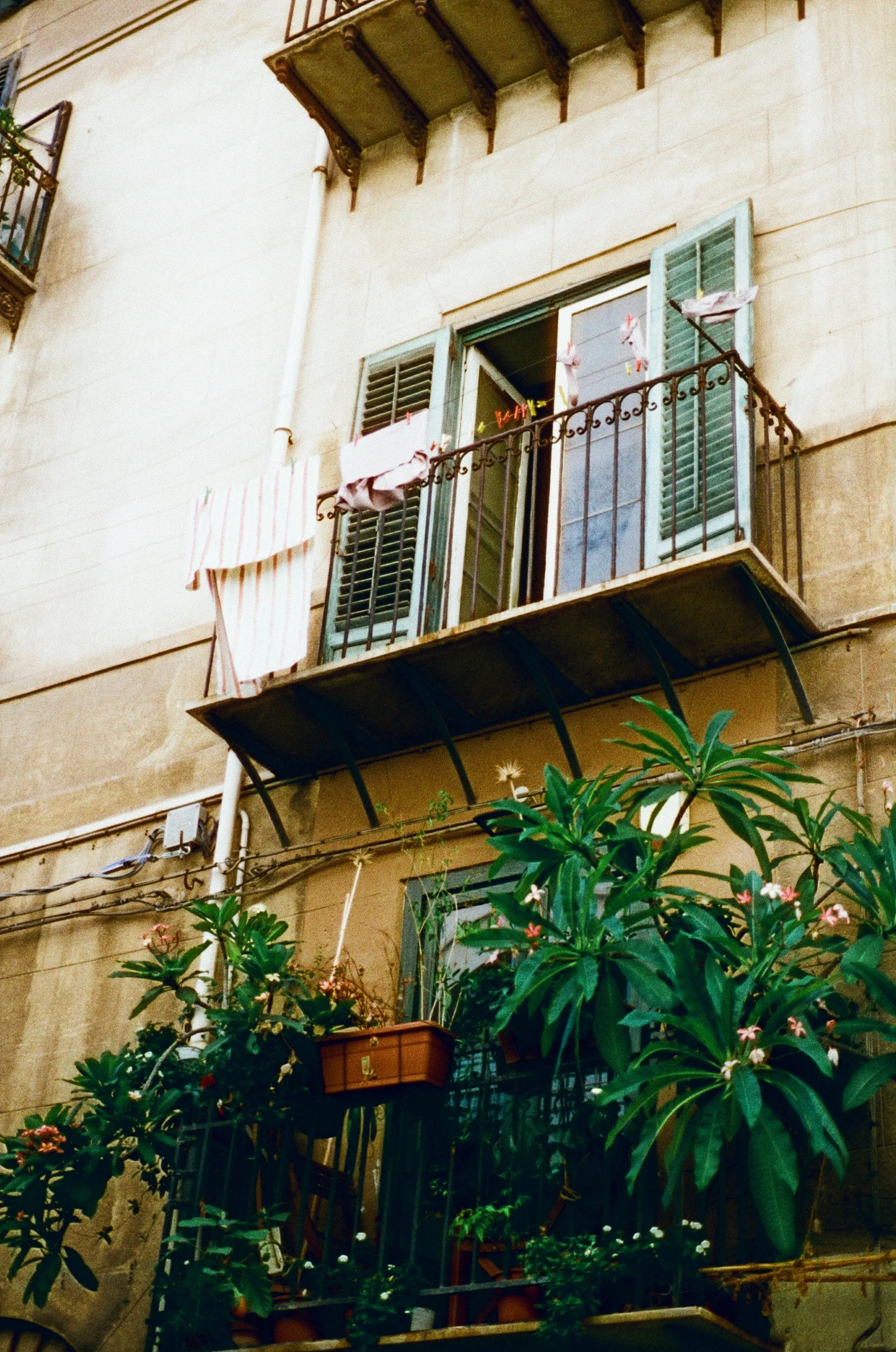 0013-df6f1.jpg