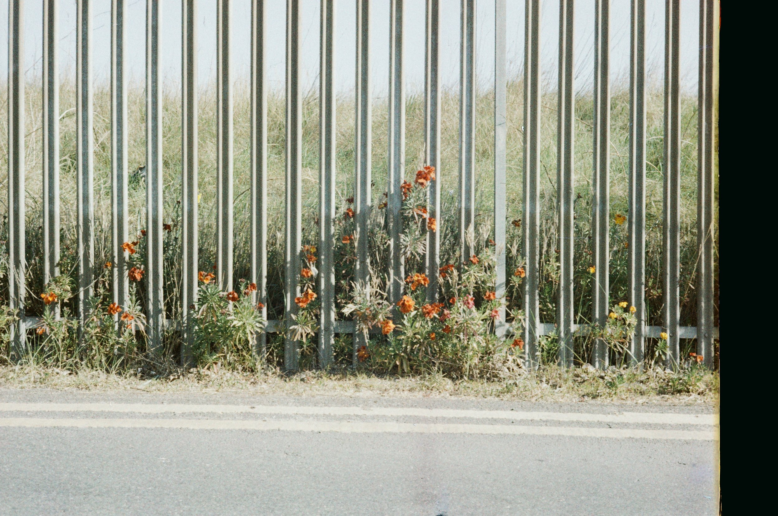 0038-cf7ad.jpg