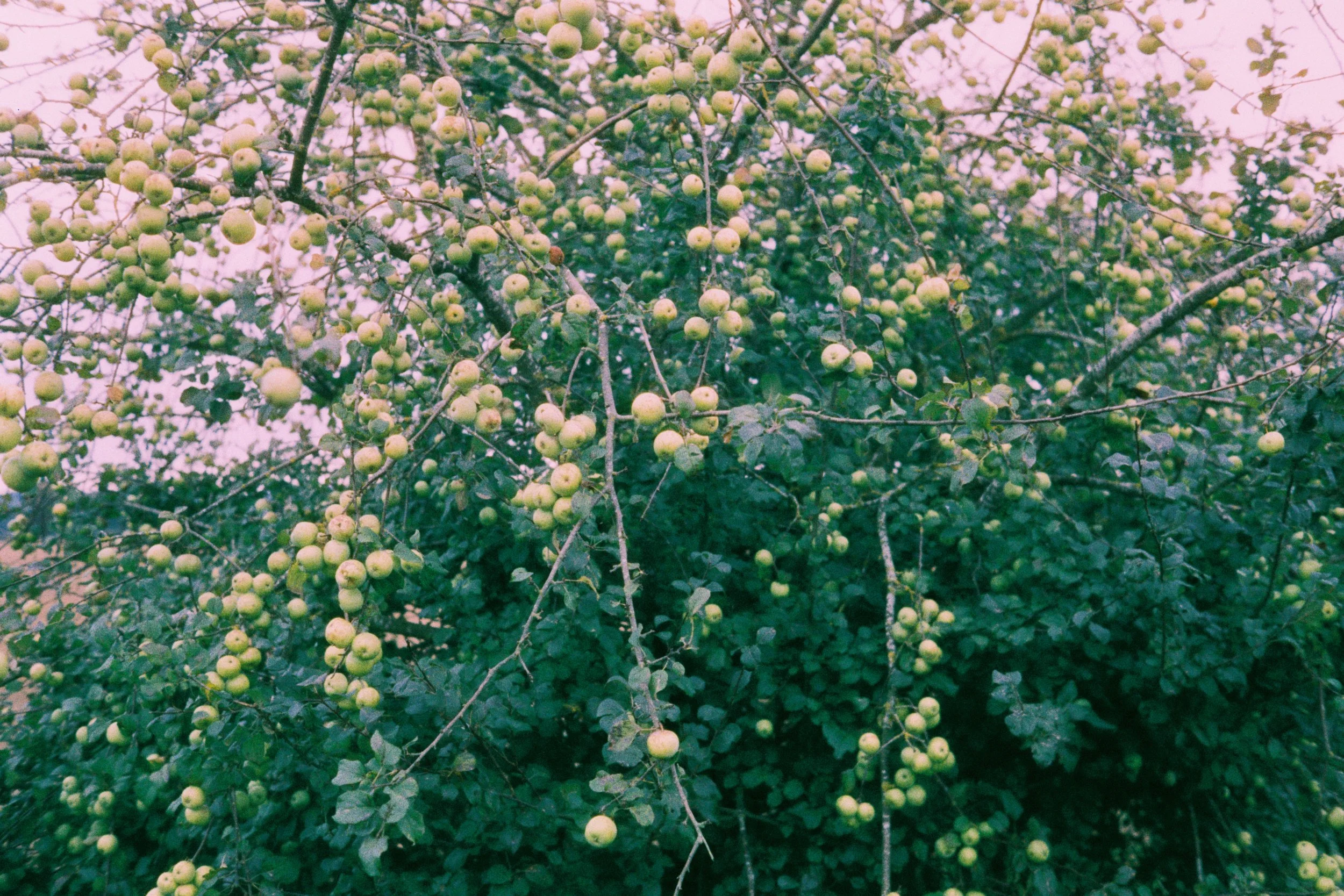 000042.JPG