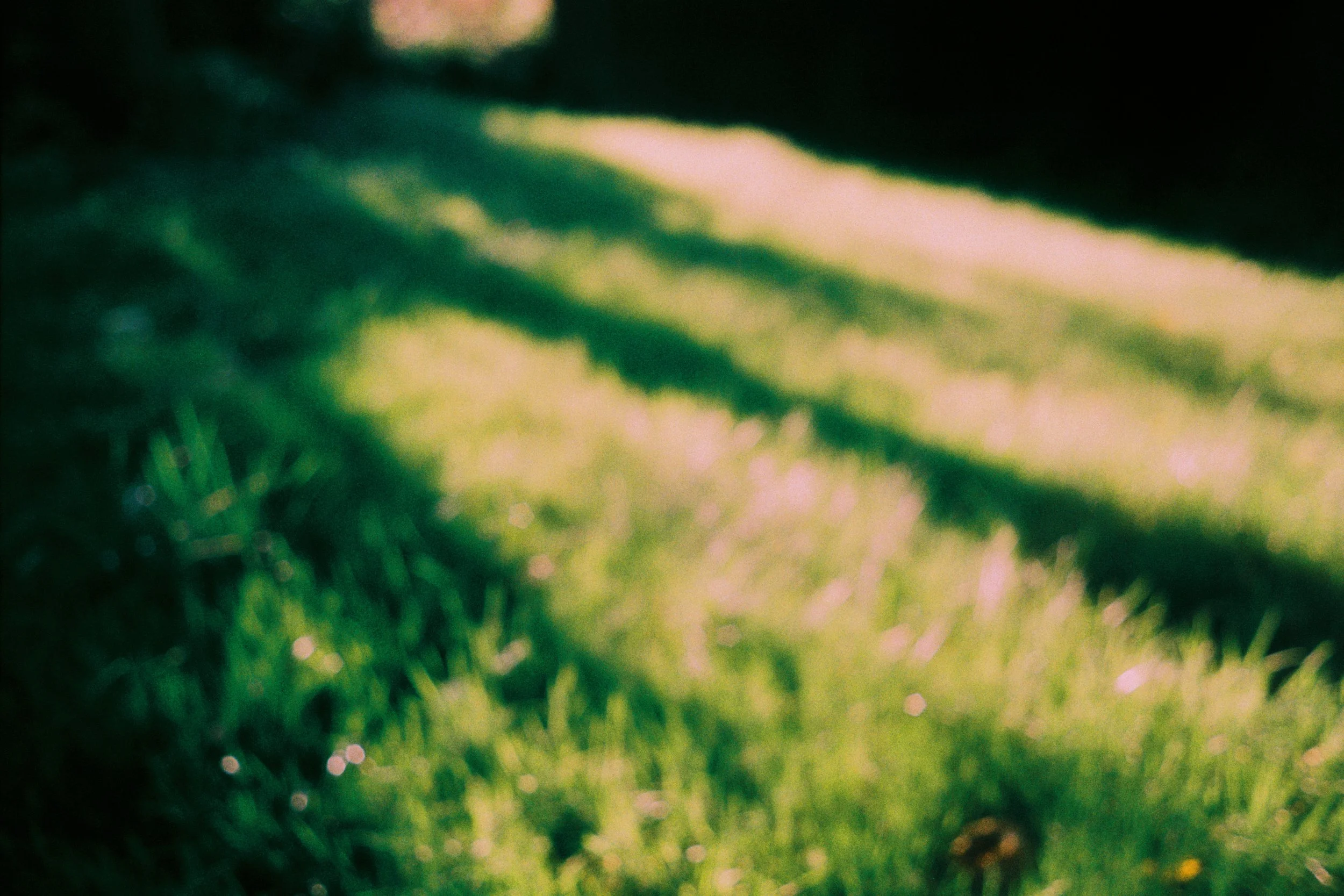000051.JPG