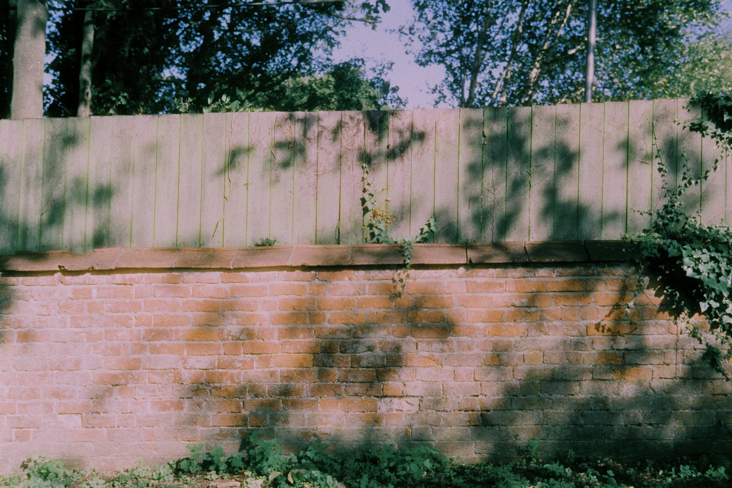 000057.JPG