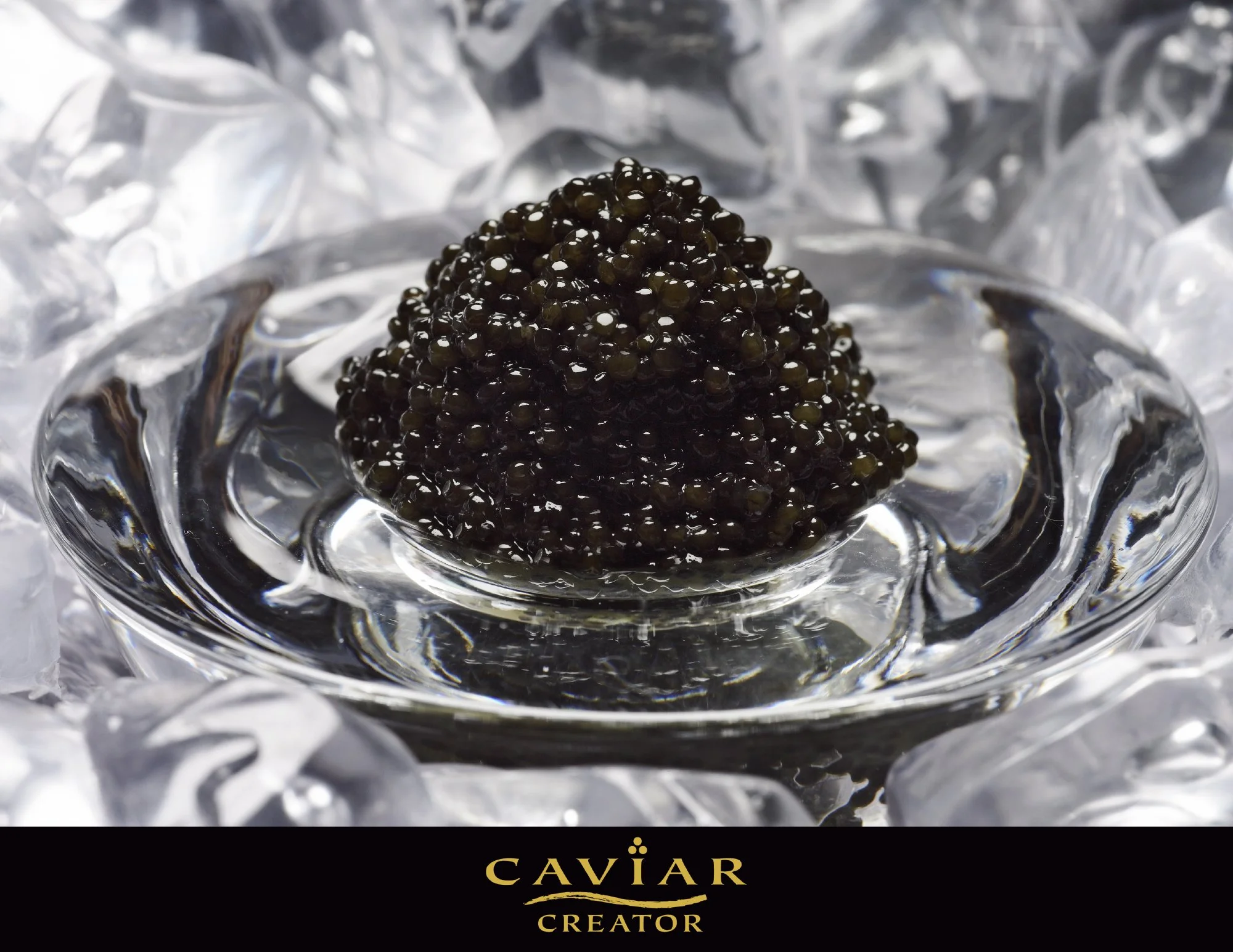 caviar_ice.JPG