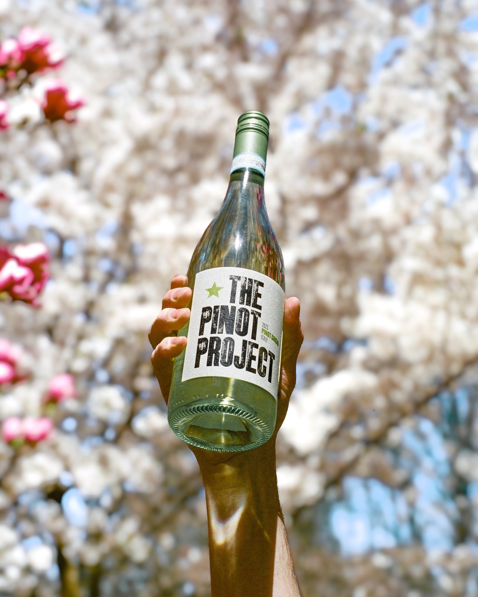 🌸 Sip into spring with a bouquet of flavors!