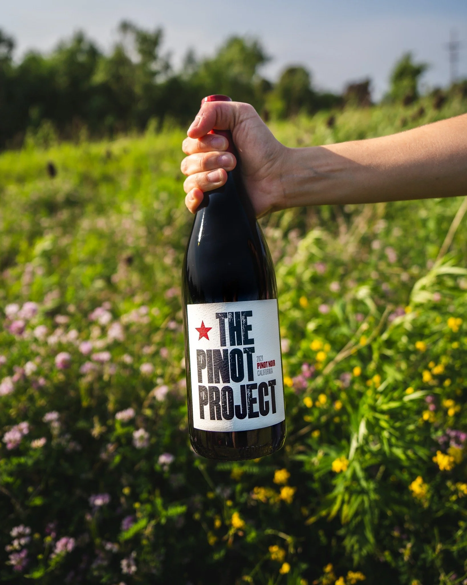 Last wildflowers of summer, first sips of fall 🍷

The Pinot Project Pinot Noir makes every moment bloom💐