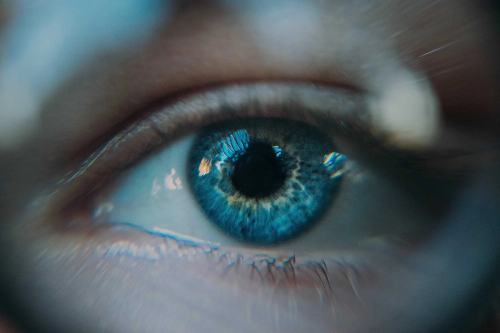 daniil-kuzelev-QRawWgV6gmo-unsplash_web.jpg