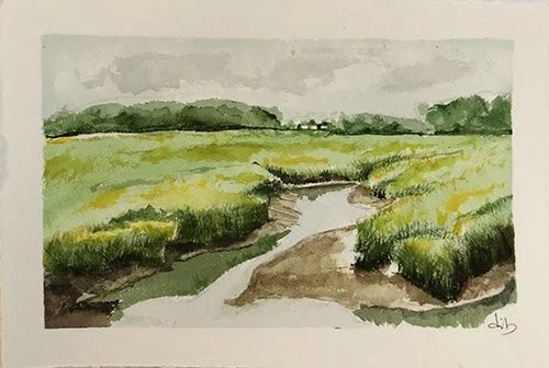 marsh8.jpg