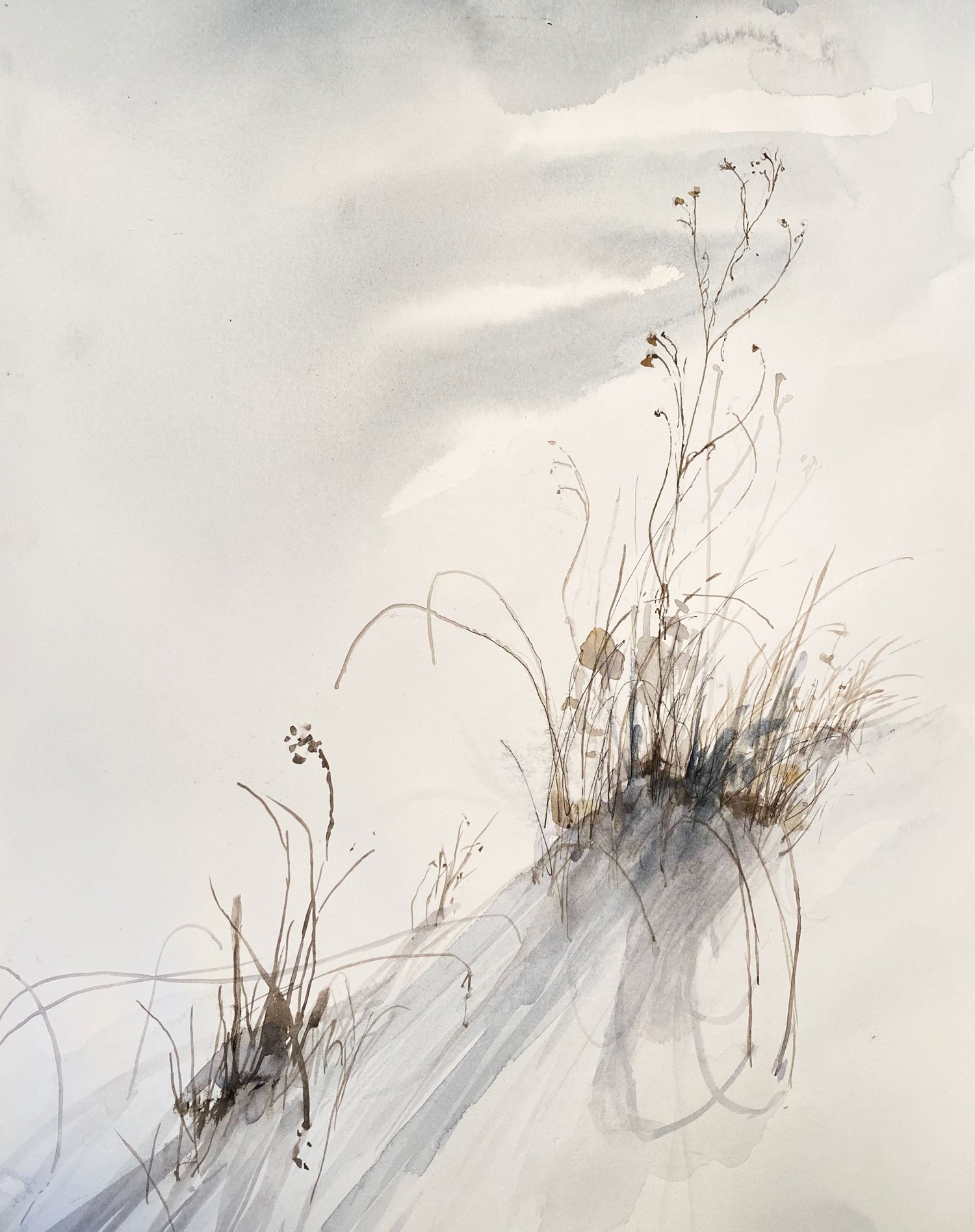 WWLcoco-connolly-watercolor-weeds-11x14-FEB-2022.jpg