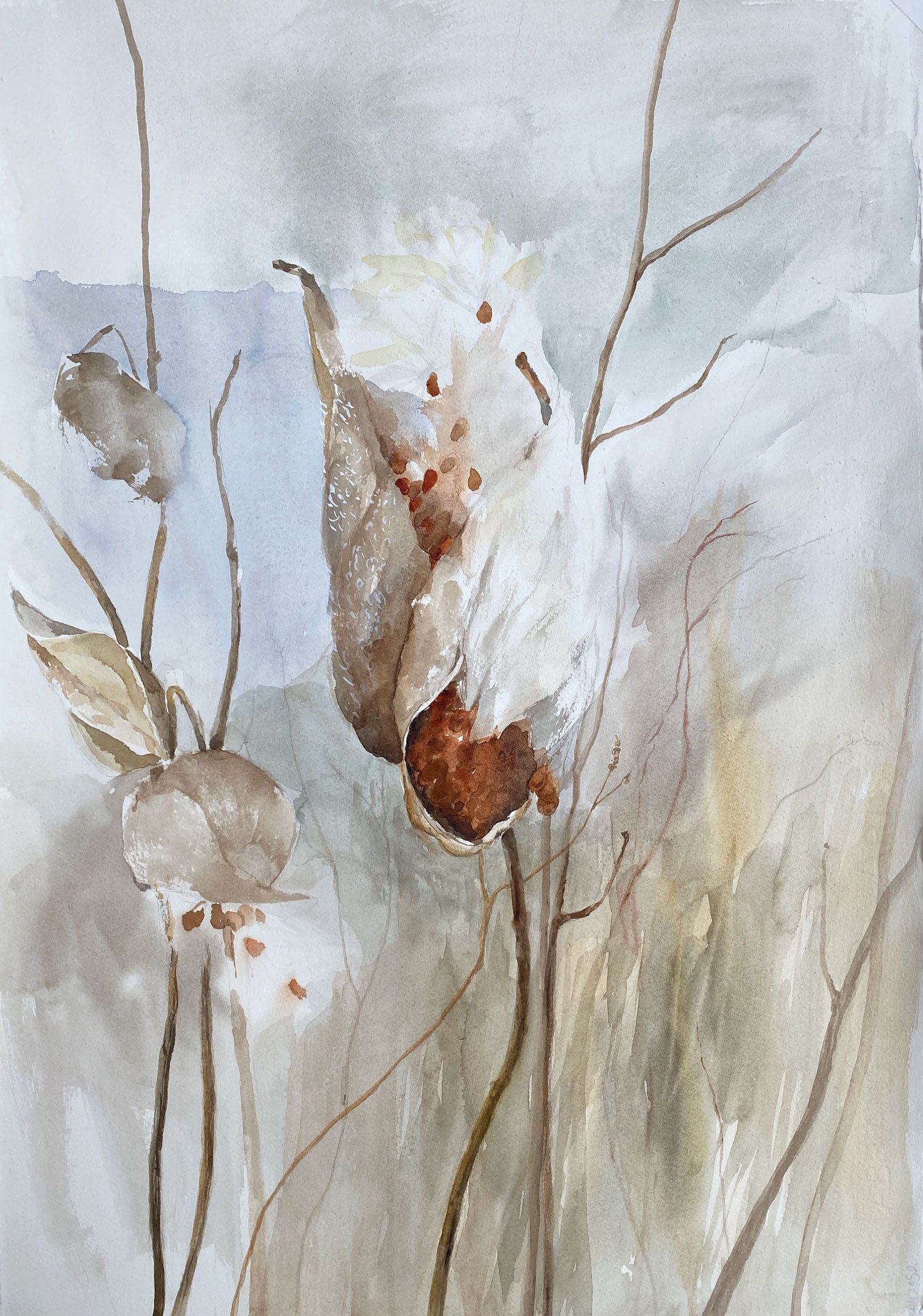 WWLcoco-connolly-two-milkweed-landscape-watercolor-15x22.jpg