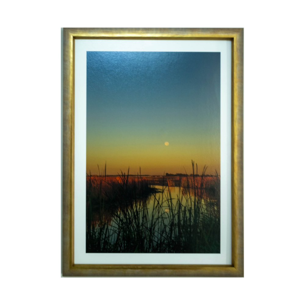 The Morning Moon
