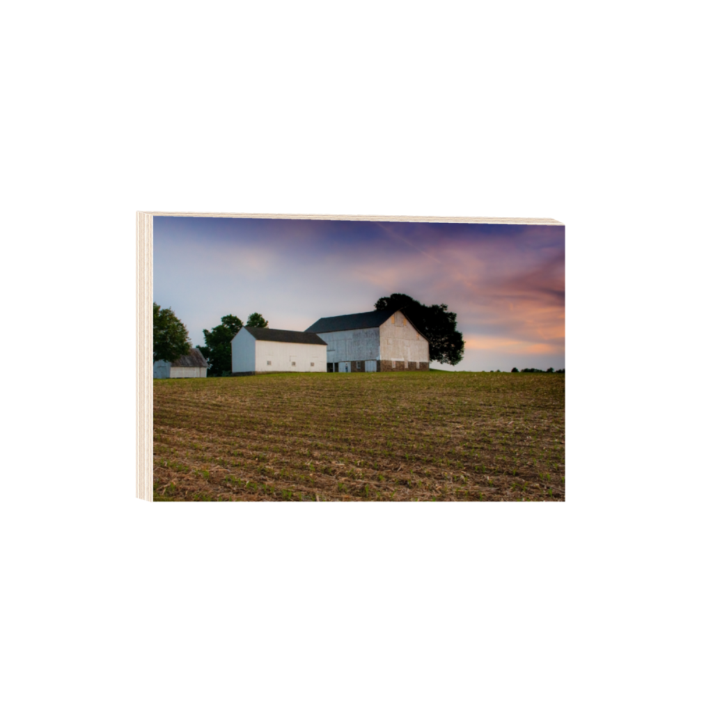 woodprint_rectangle2_3_0_87_5263_3508_0_false_ffffff_0_0.png