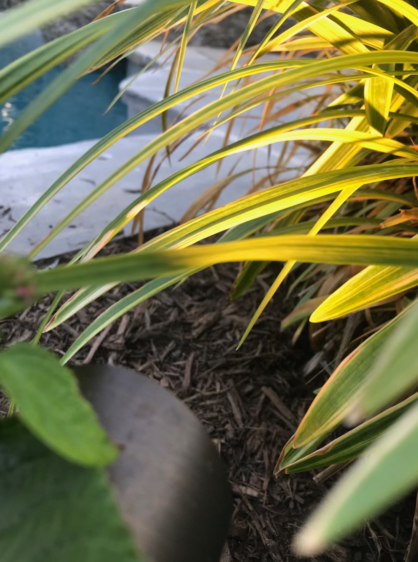 Screen Shot 2021-11-01 at 3.11.13 PM.png