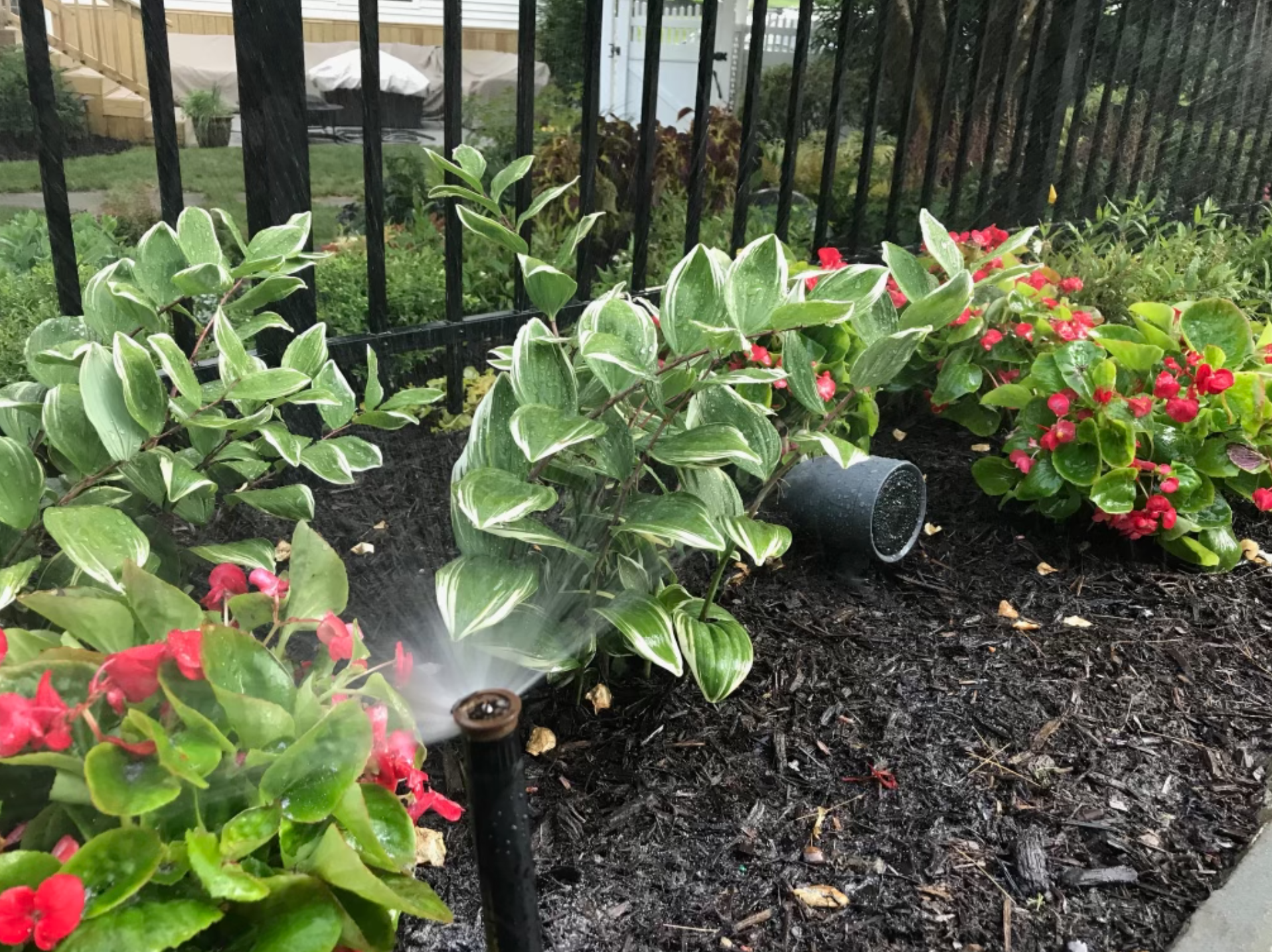 Screen Shot 2021-11-01 at 3.11.38 PM.png