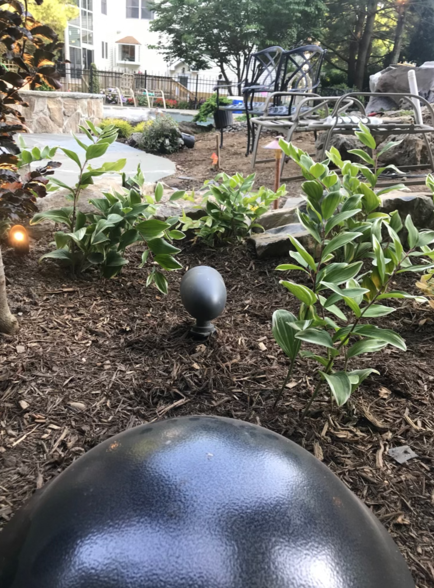 Screen Shot 2021-11-01 at 3.10.29 PM.png