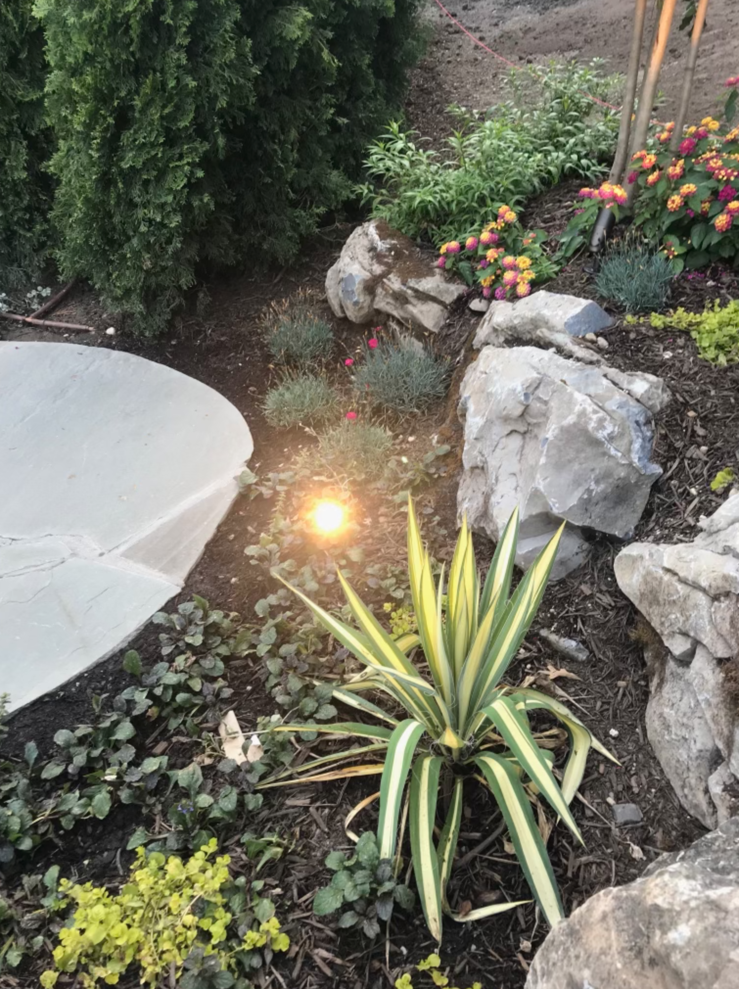 Screen Shot 2021-11-01 at 3.09.49 PM.png