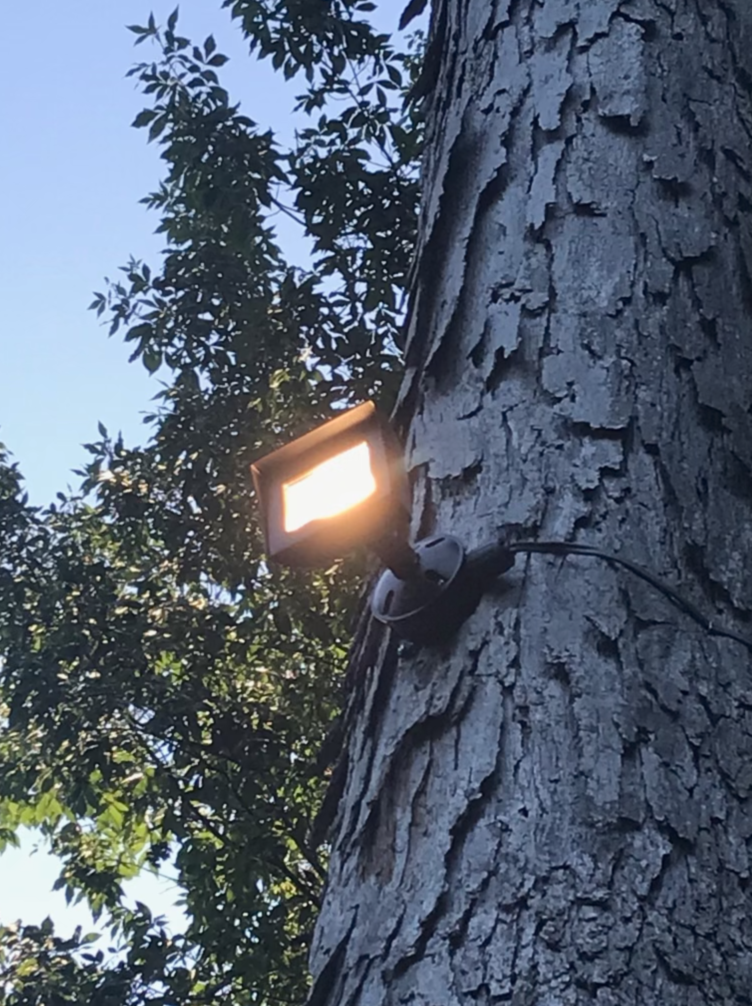 Screen Shot 2021-11-01 at 3.09.31 PM.png