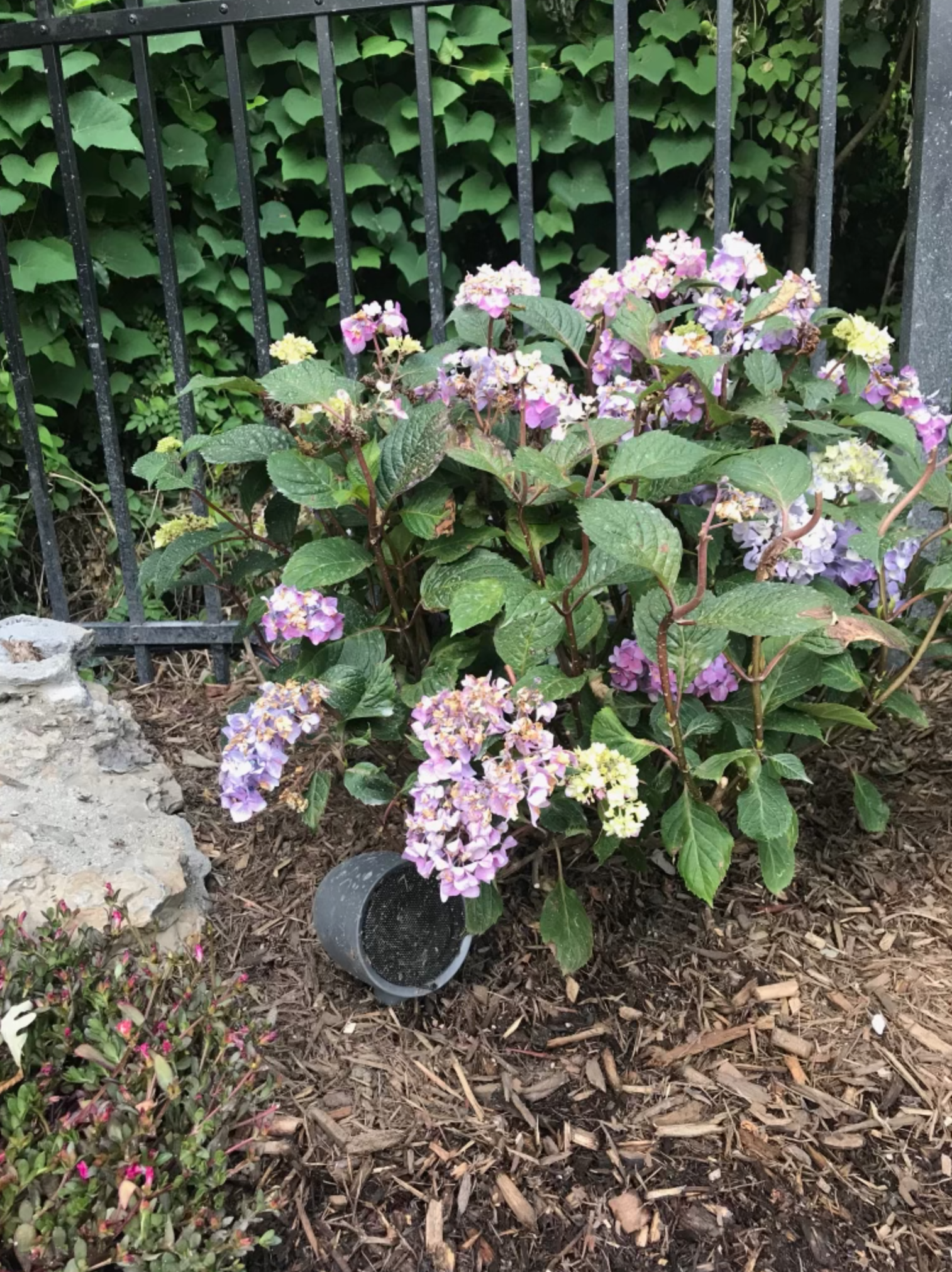 Screen Shot 2021-11-01 at 3.09.18 PM.png